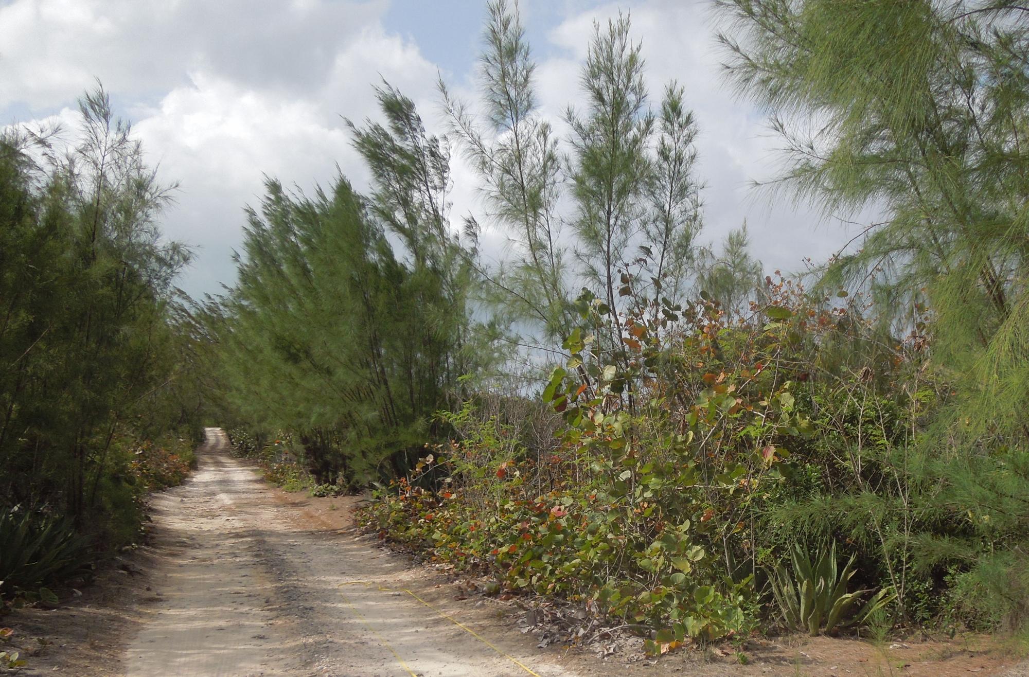 Waterfront Lot
