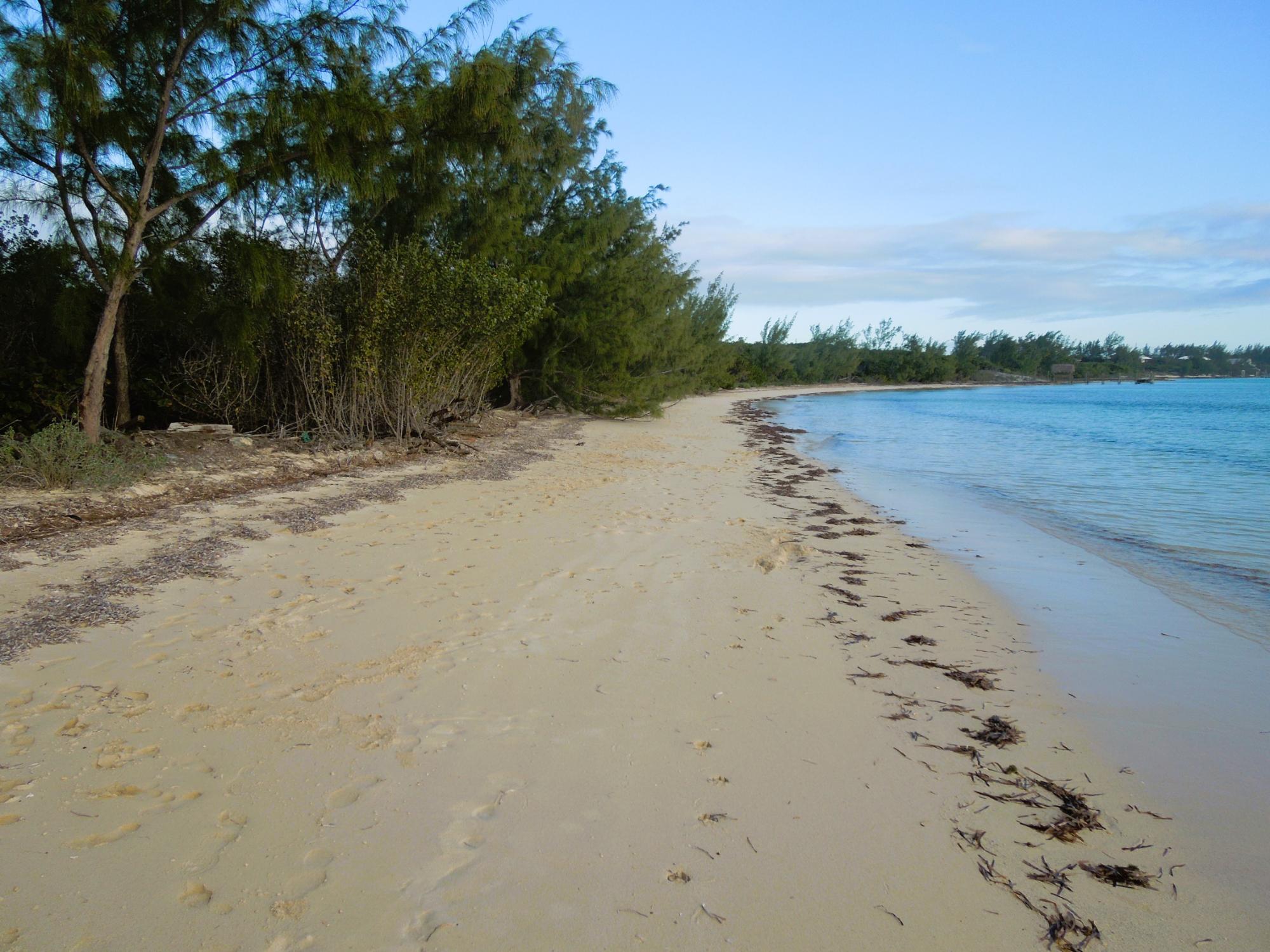 Waterfront Lot