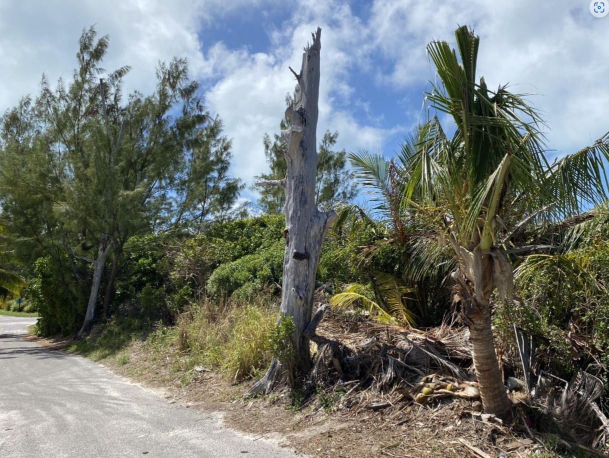 S.C. BOOTLE HIGHWAY,ABACO