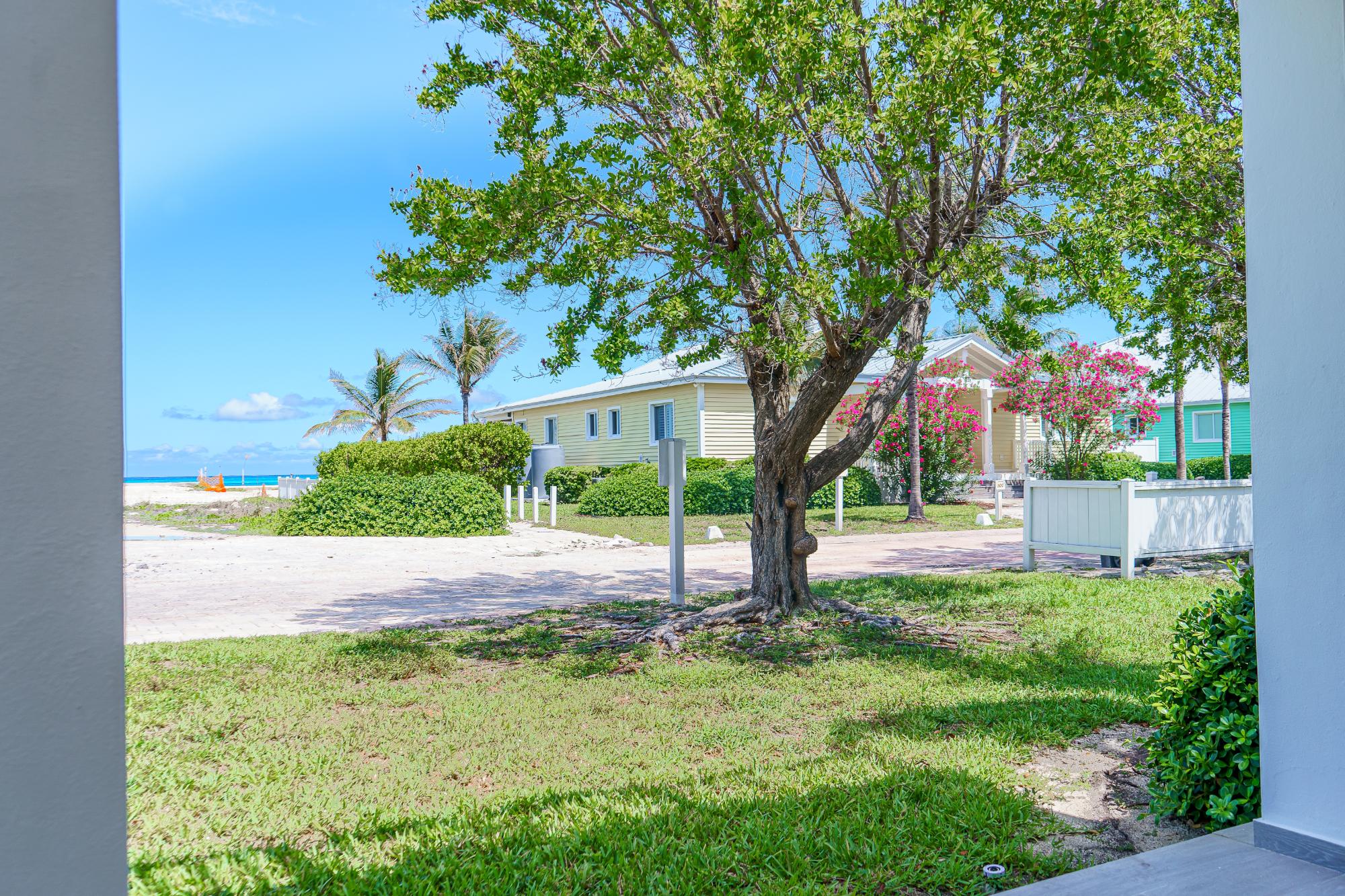 Bimini Cove