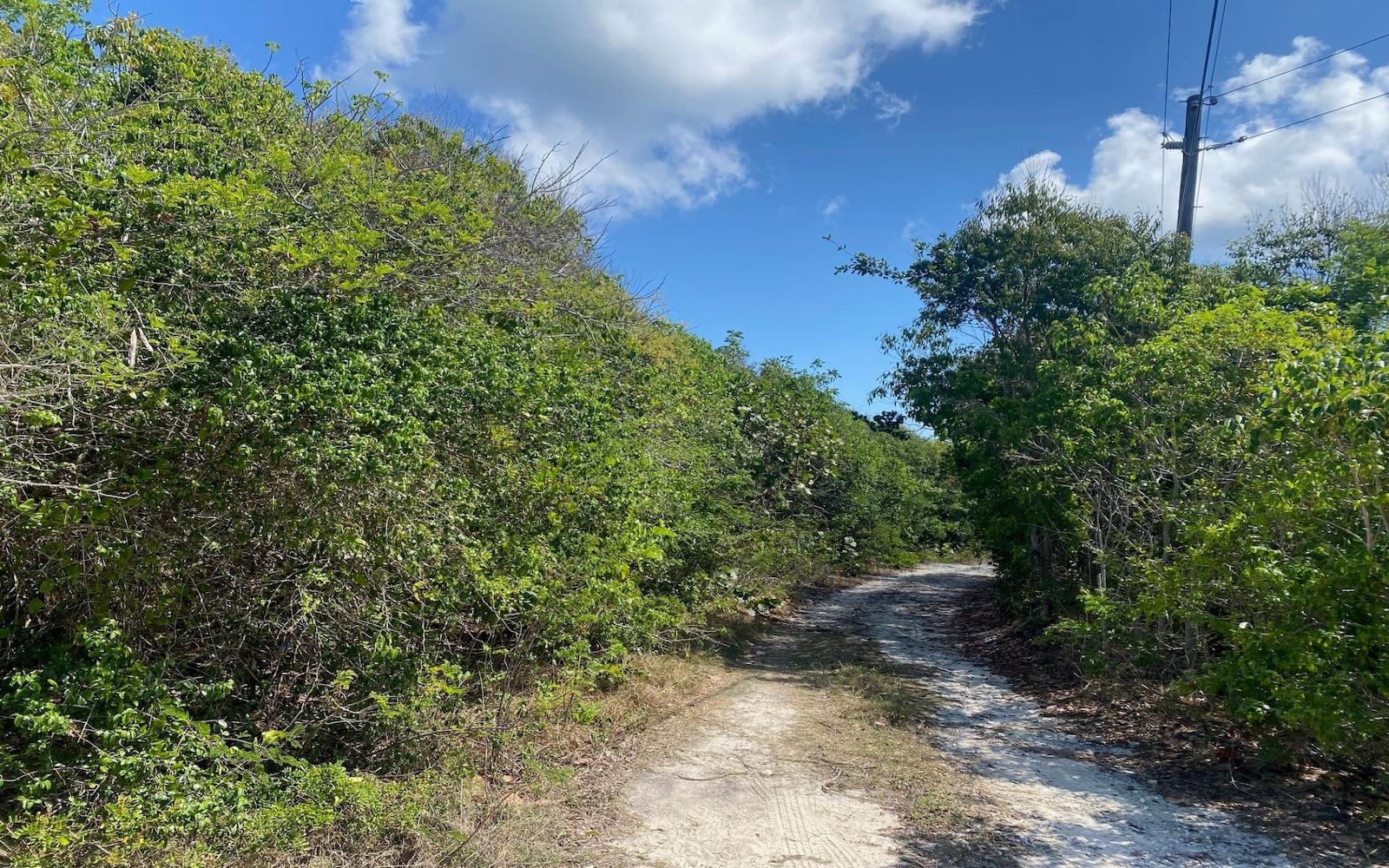 ELEUTHERA ISLAND SHORES