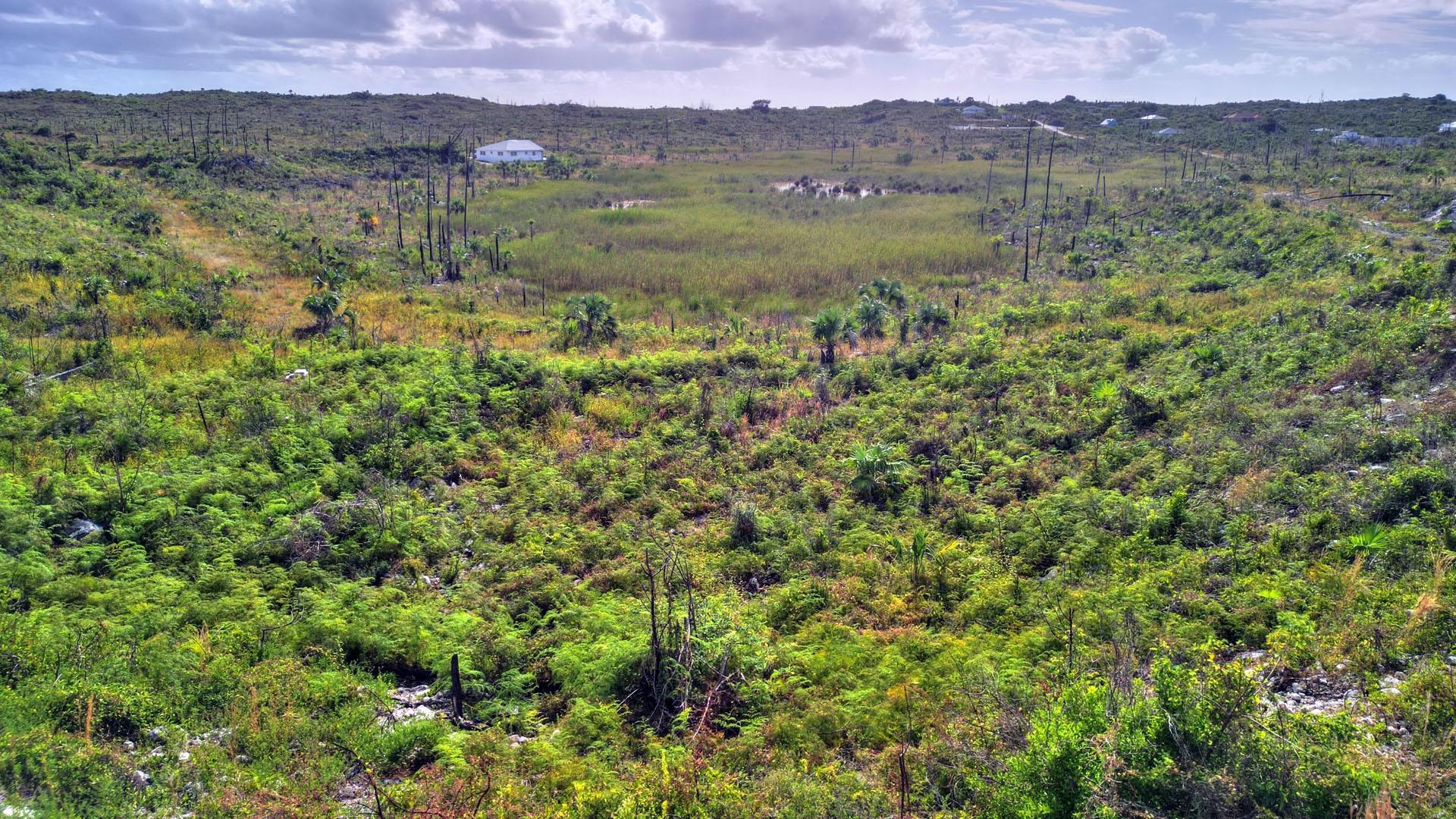 BAHAMA CORAL ISLAND LOT 7