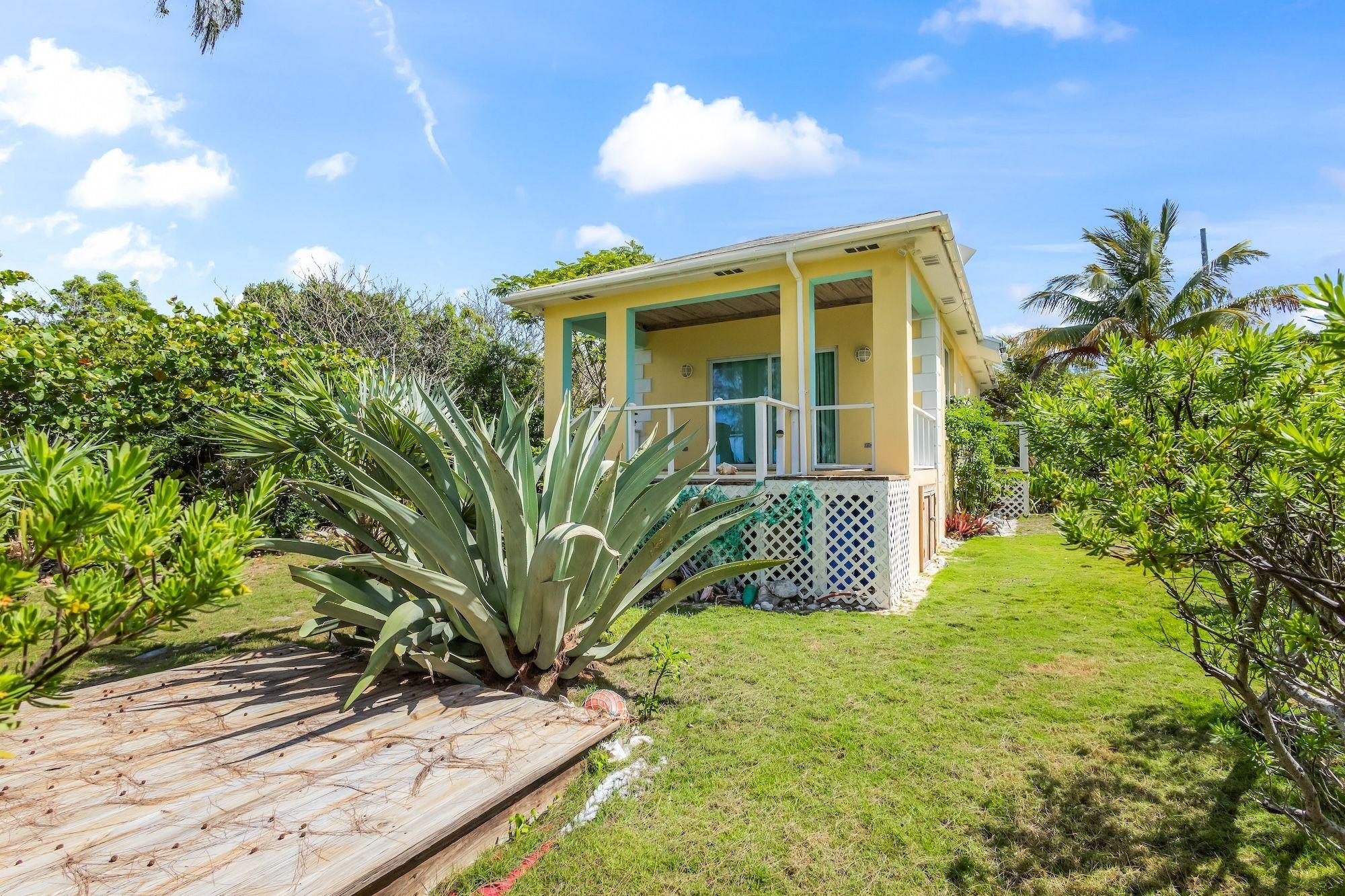 CARIBBEAN DREAM