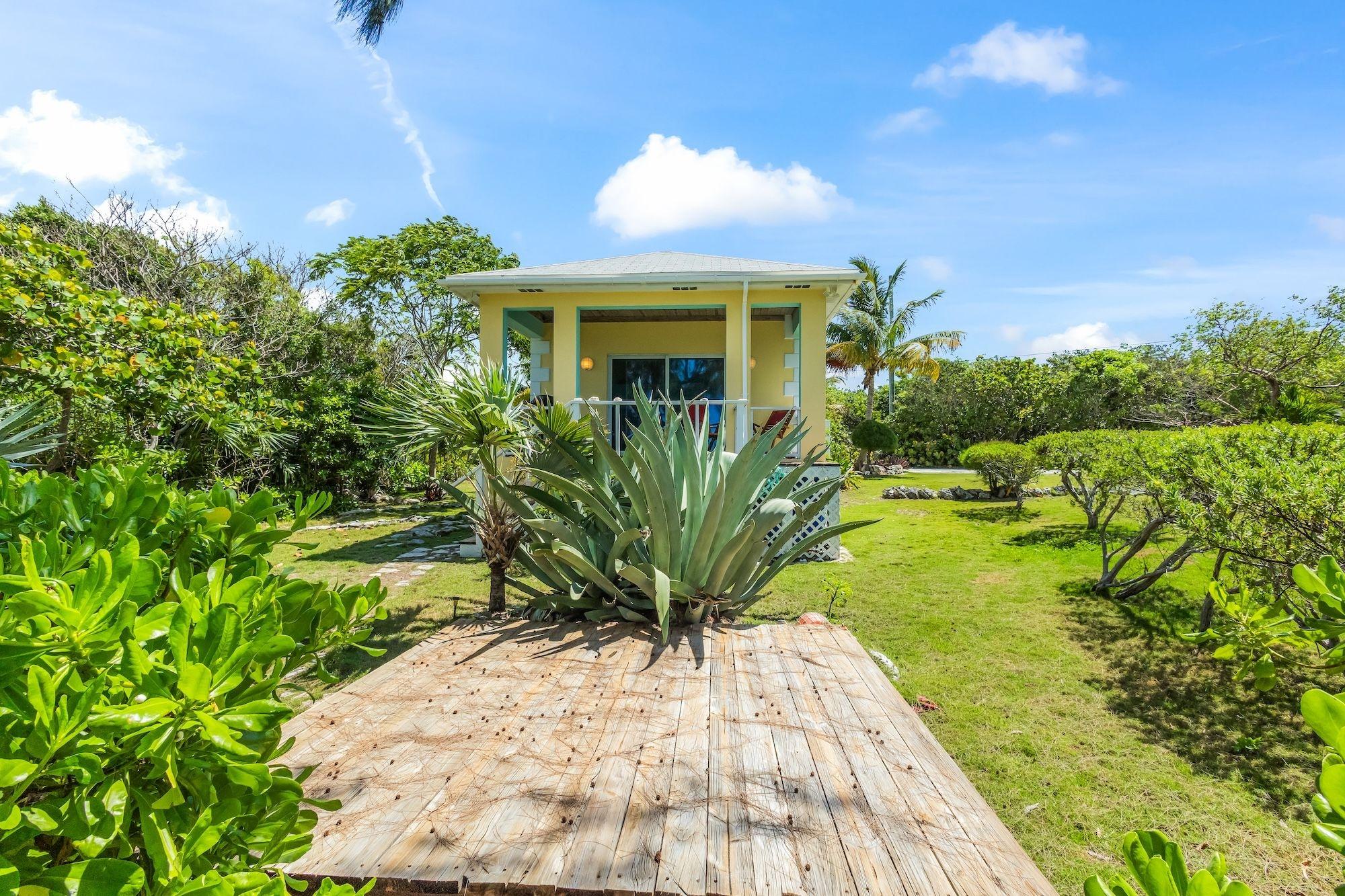 CARIBBEAN DREAM