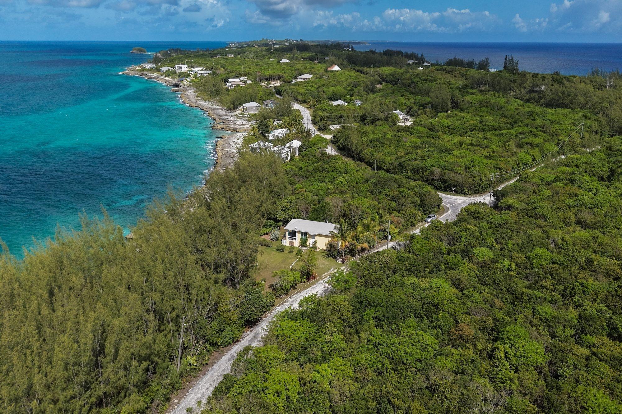 CARIBBEAN DREAM