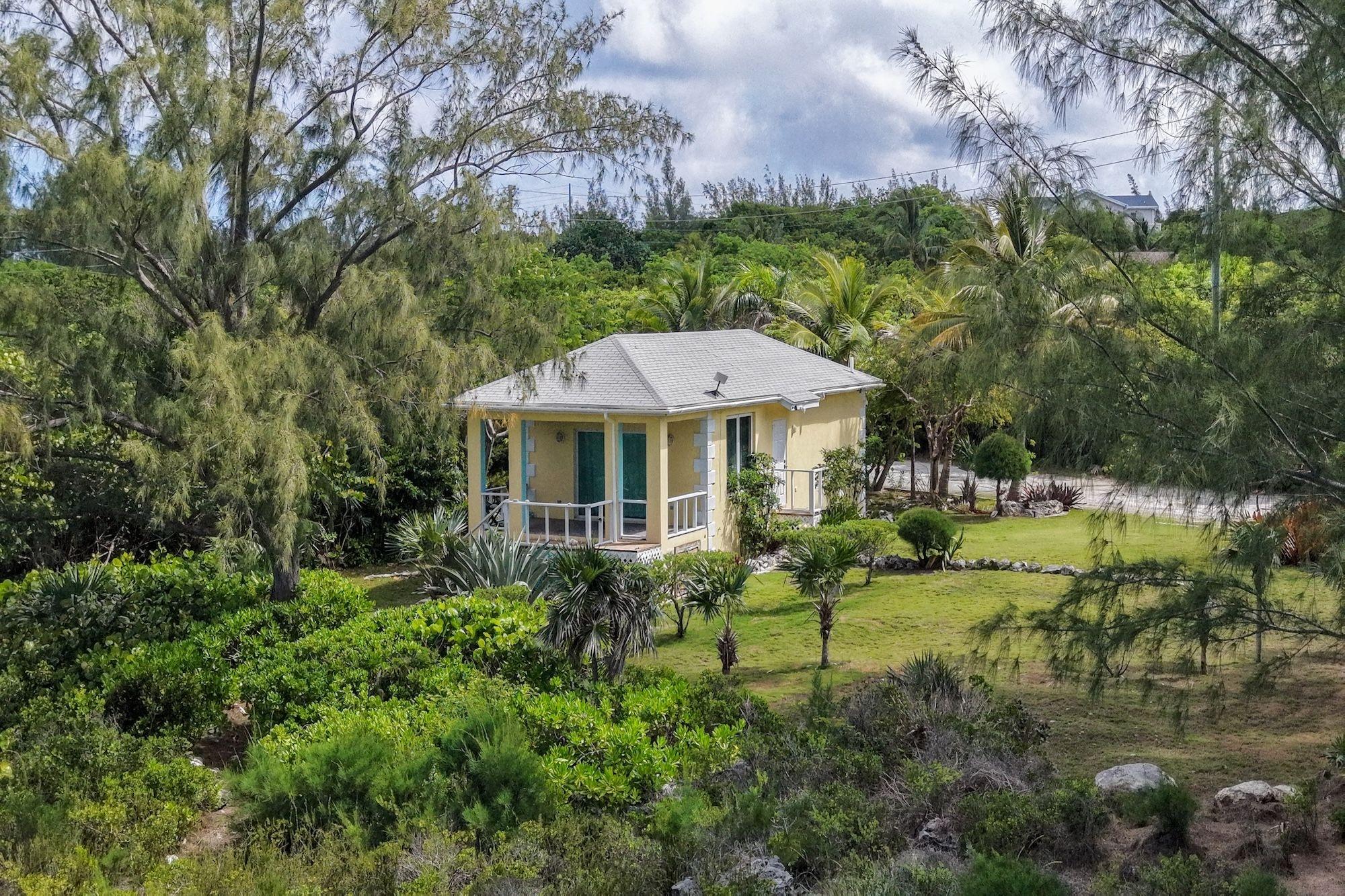 CARIBBEAN DREAM