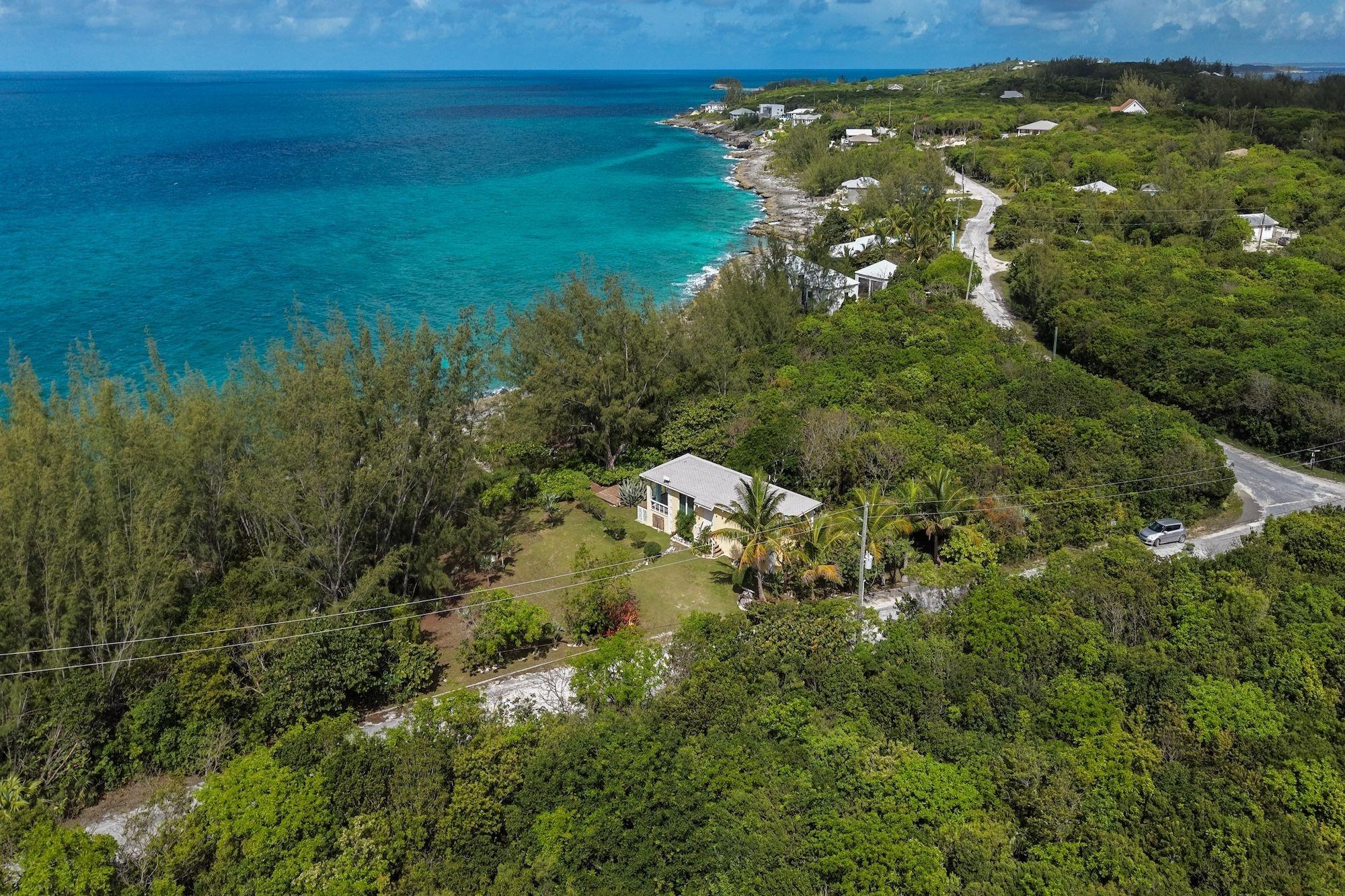 CARIBBEAN DREAM