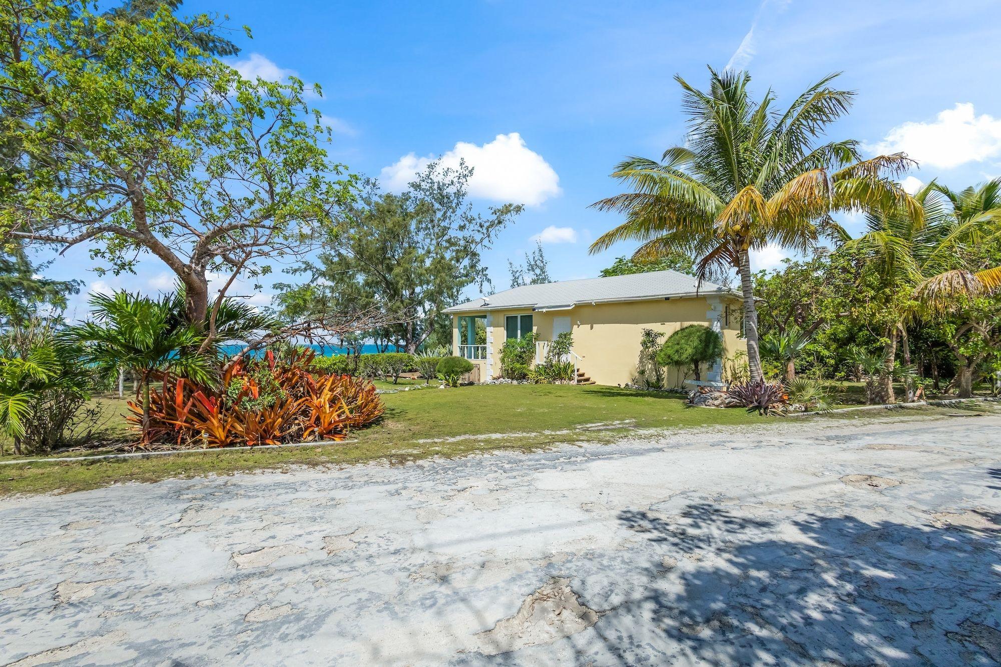 CARIBBEAN DREAM