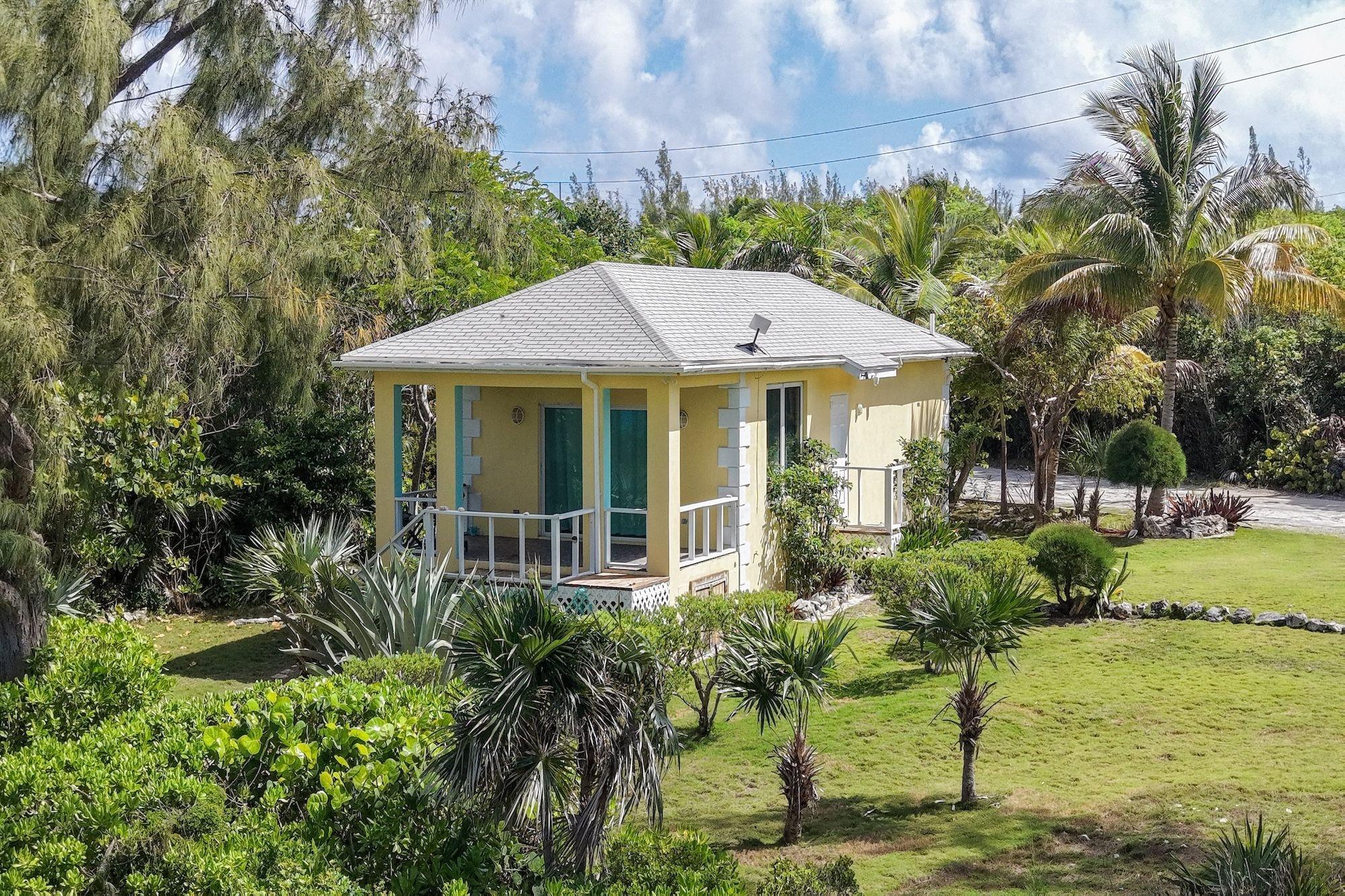 CARIBBEAN DREAM