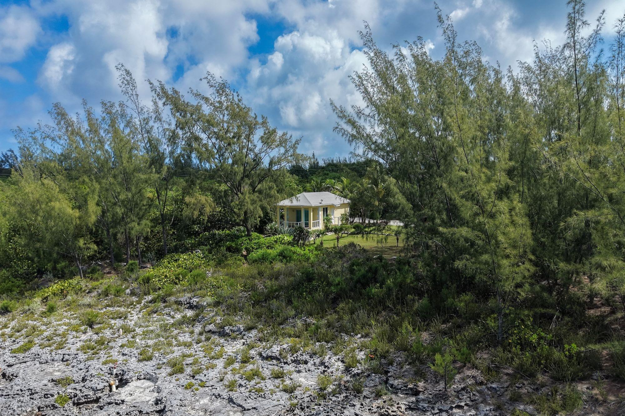 CARIBBEAN DREAM