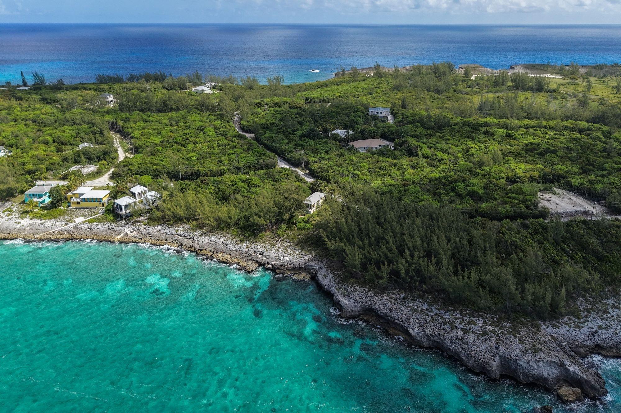 CARIBBEAN DREAM