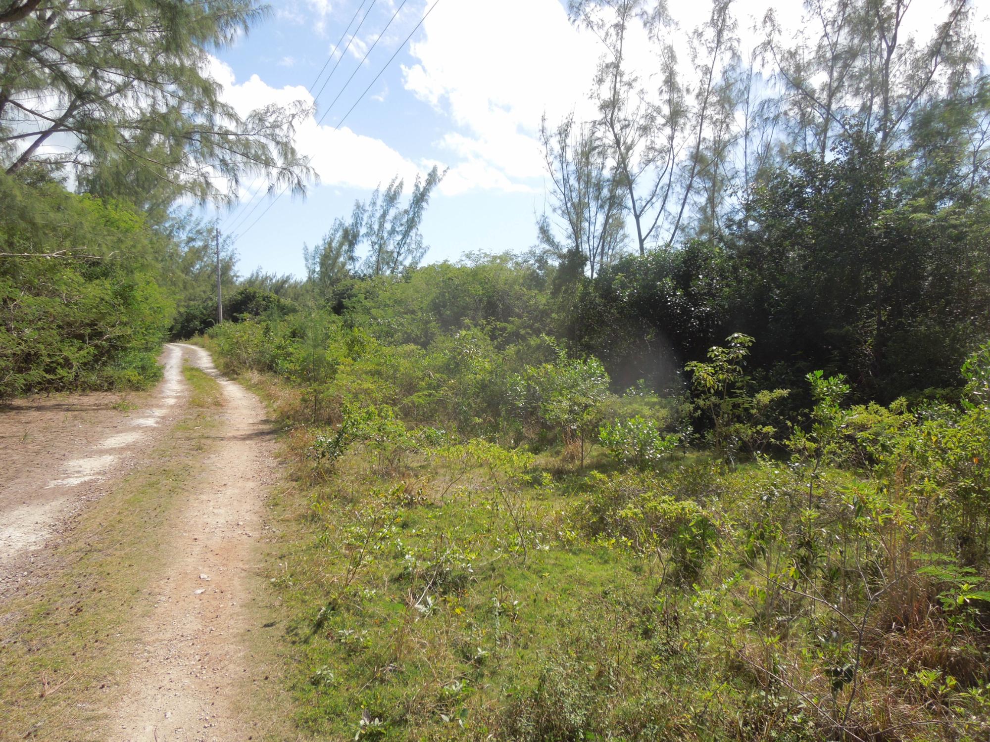 Waterfront Acreage