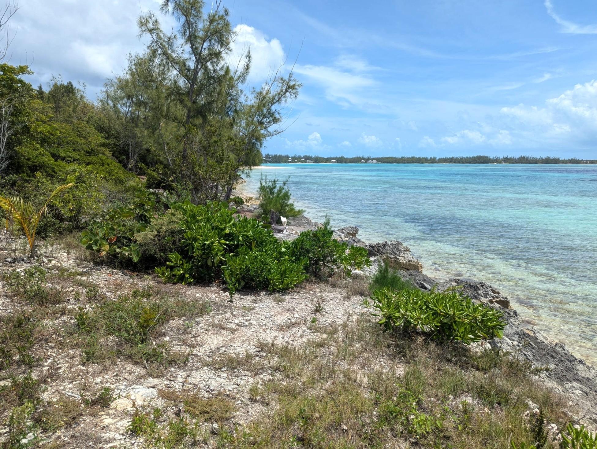 Waterfront Acreage