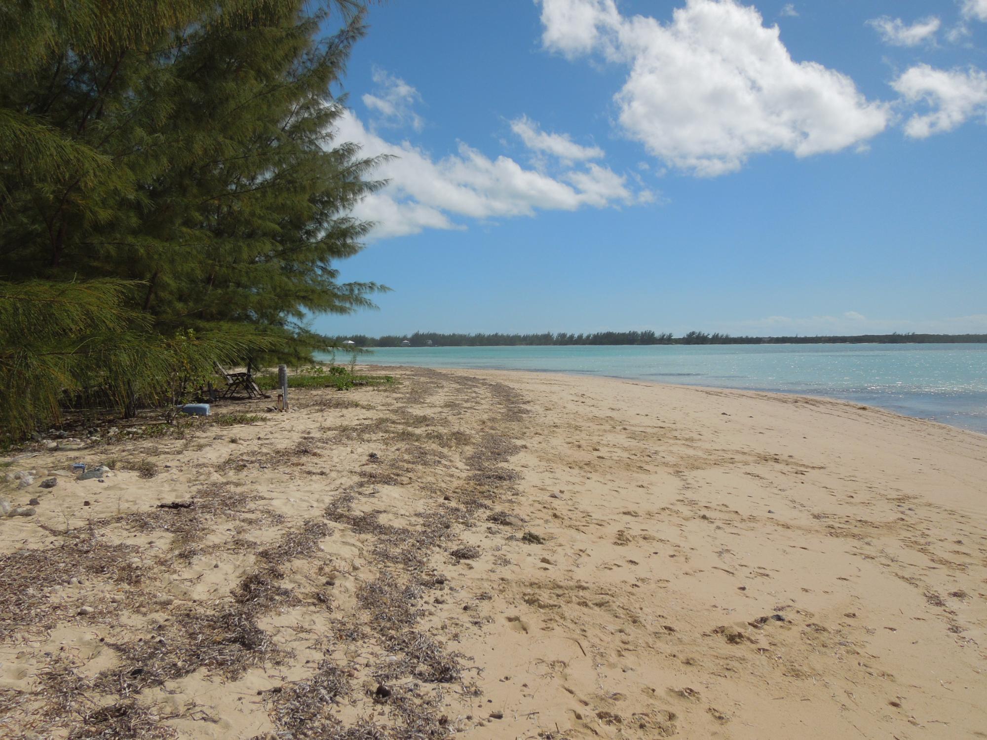 Waterfront Acreage
