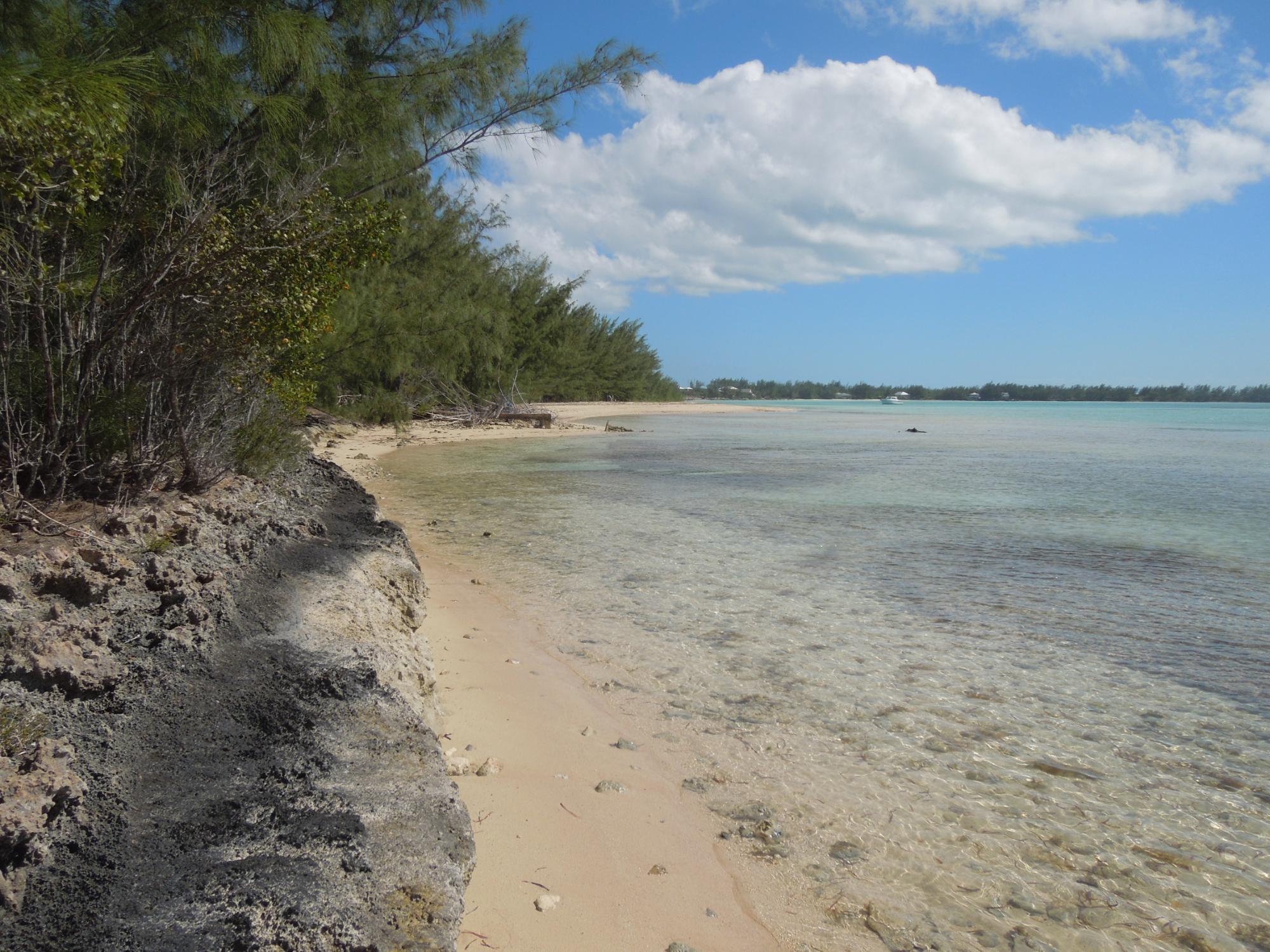 Waterfront Acreage