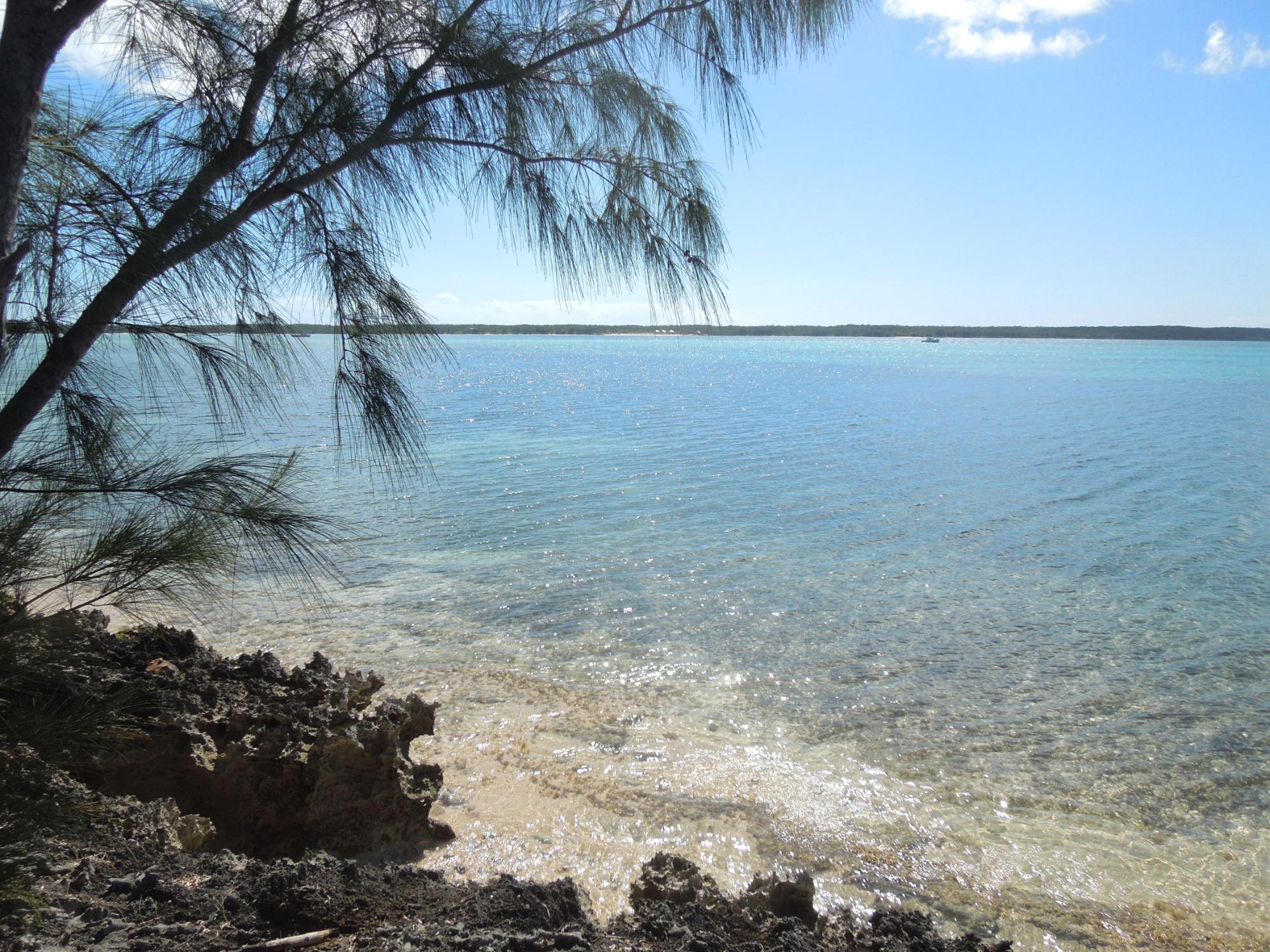 Waterfront Acreage