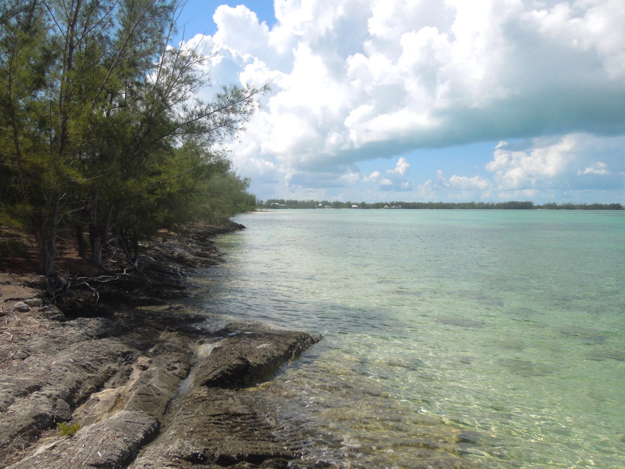 Waterfront Acreage