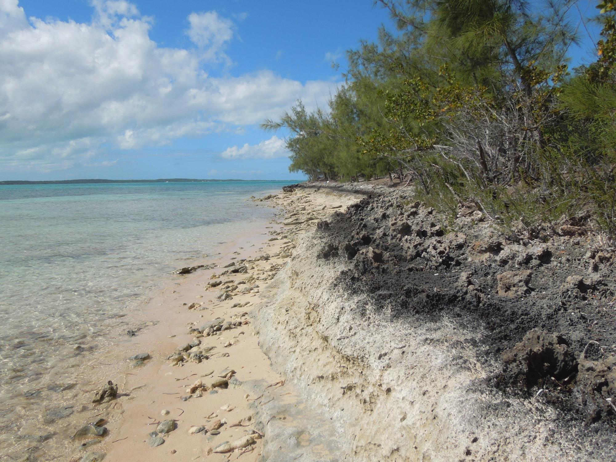 Waterfront Acreage
