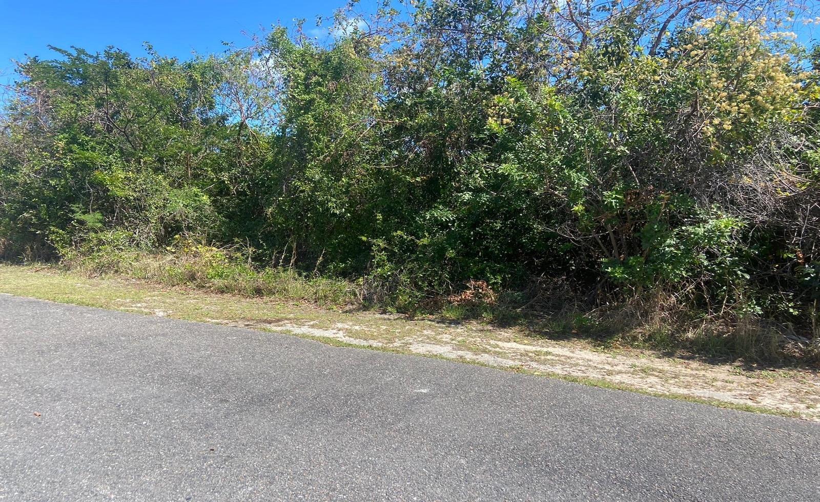 LOT 5, JACARANDA