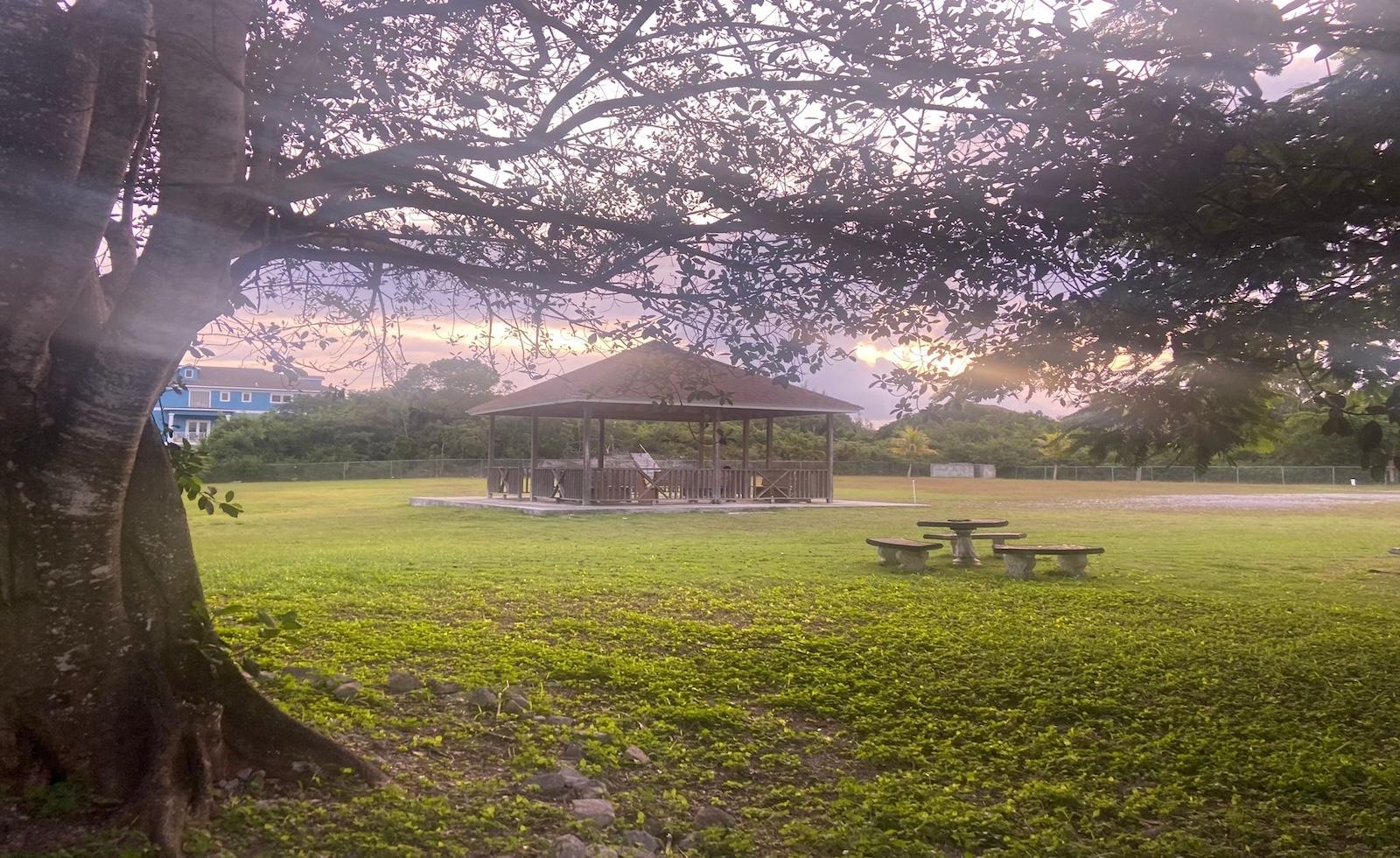 LOT 5, JACARANDA
