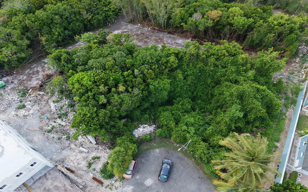 LOT 5, JACARANDA