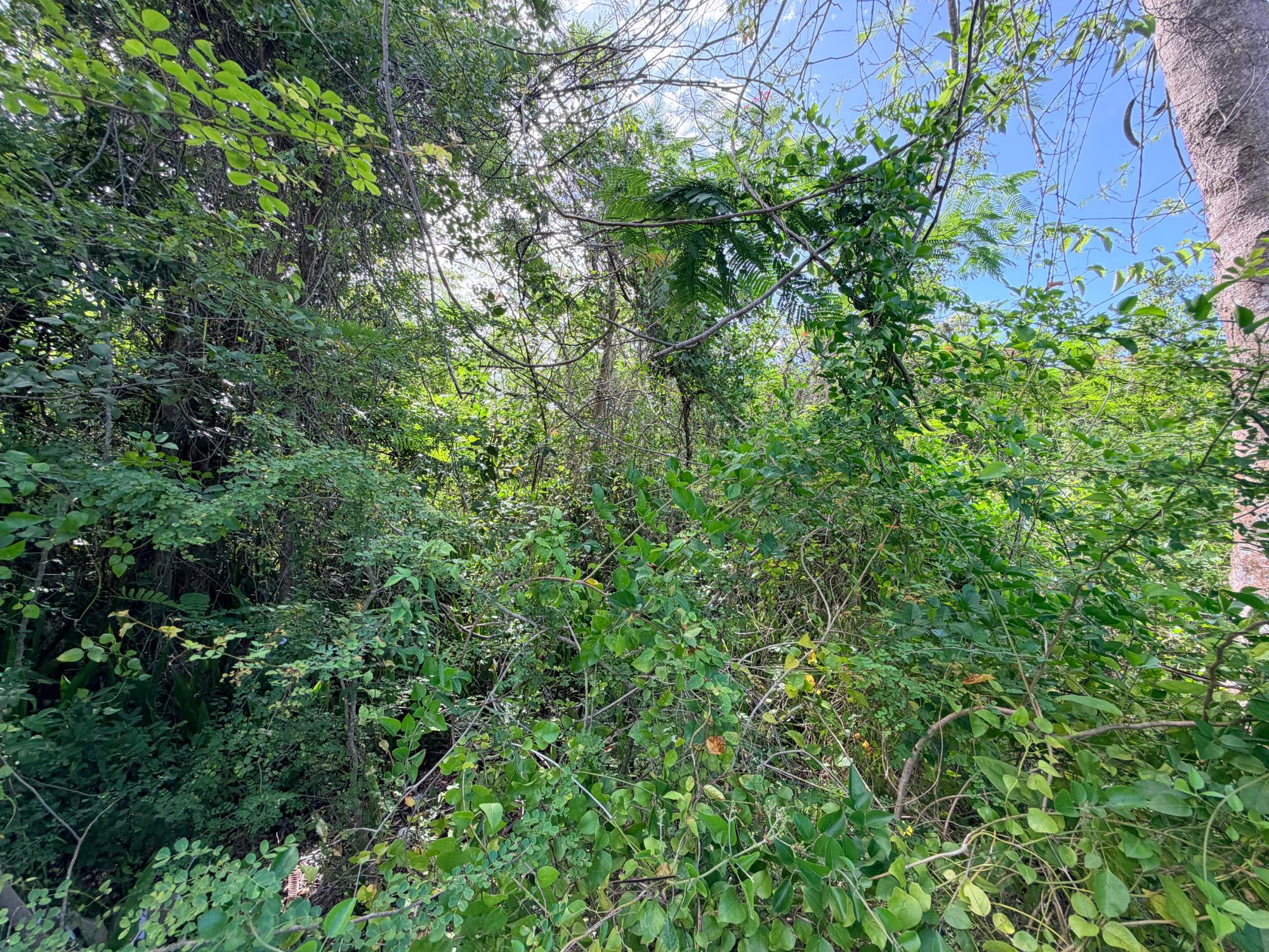 LOT 182 WESTRIDGE ESTATES