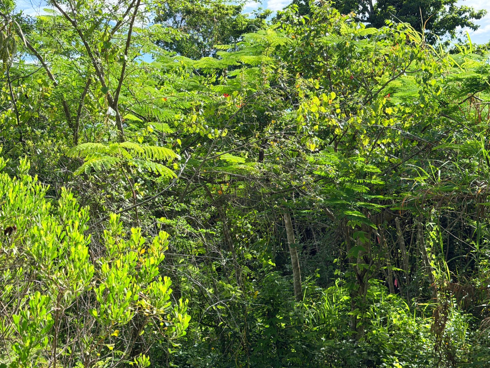 LOT 182 WESTRIDGE ESTATES