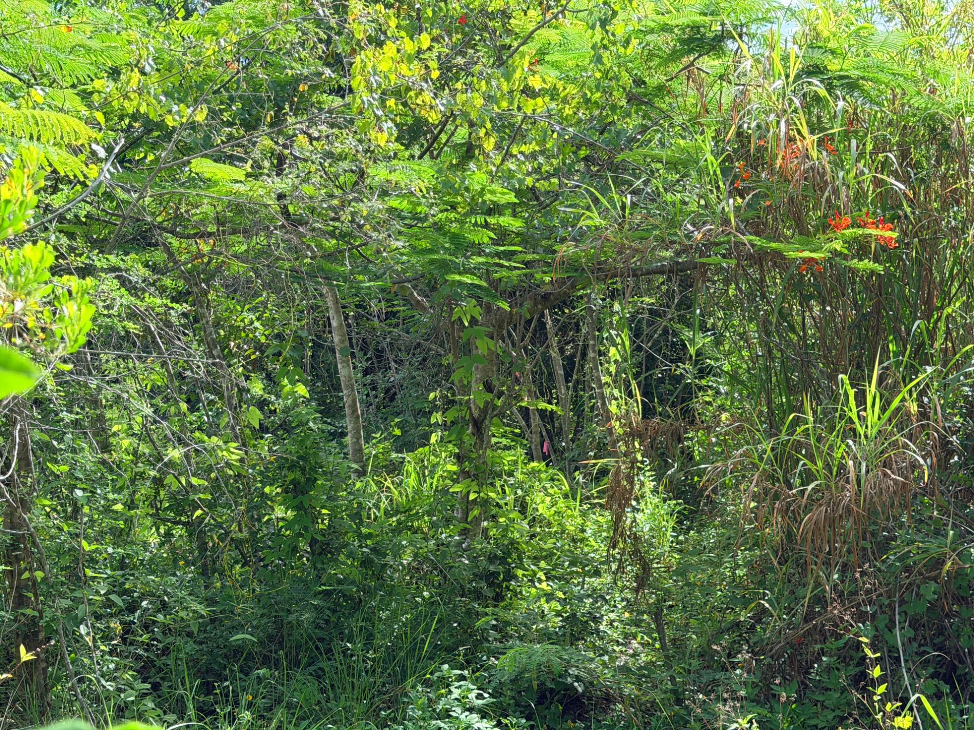 LOT 182 WESTRIDGE ESTATES