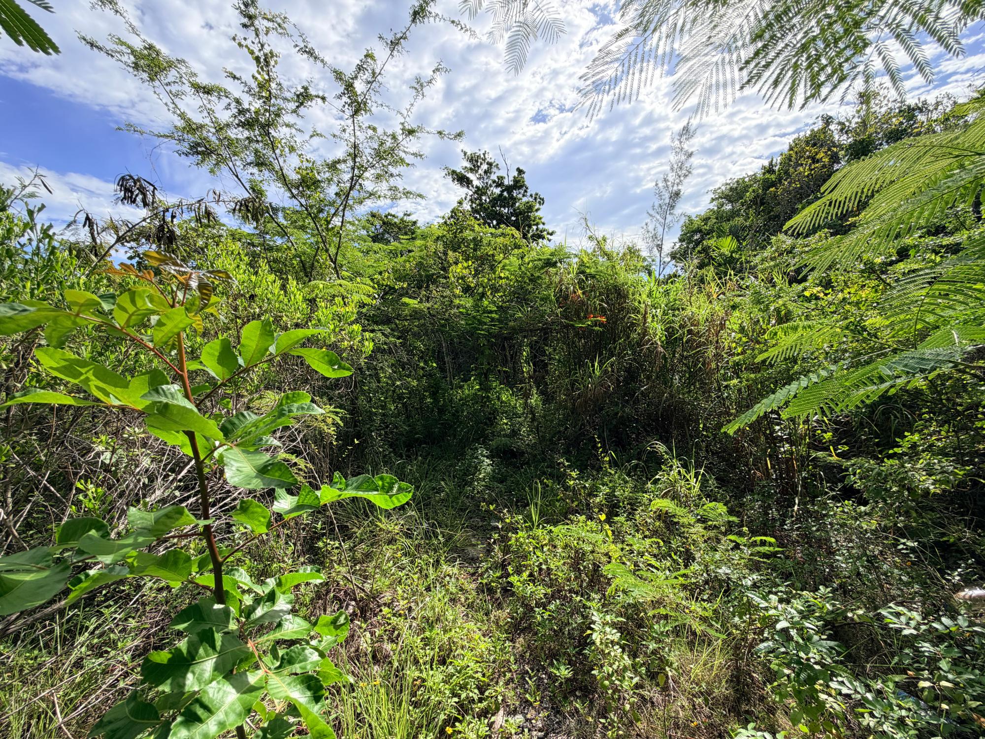 LOT 182 WESTRIDGE ESTATES