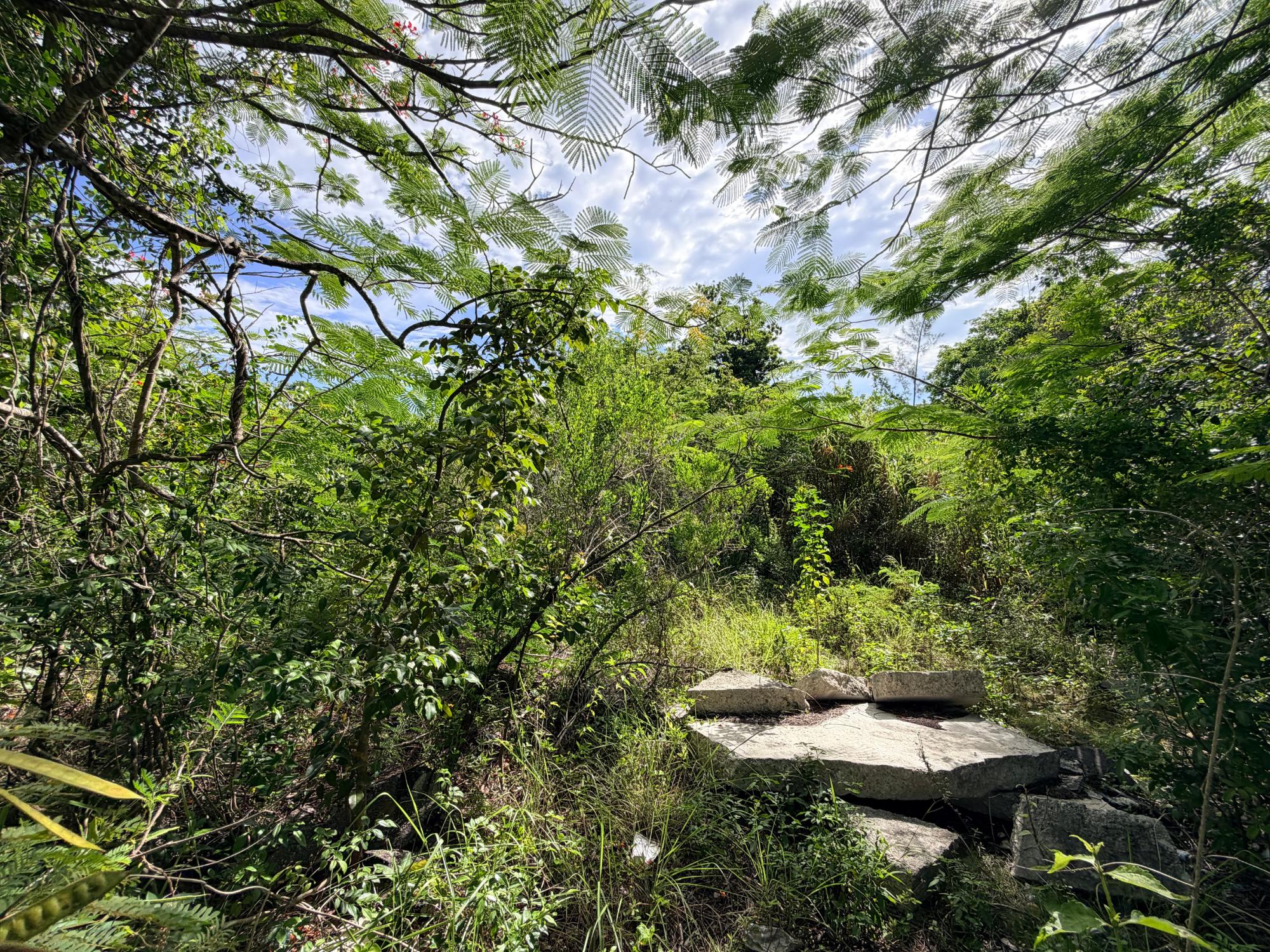 LOT 182 WESTRIDGE ESTATES