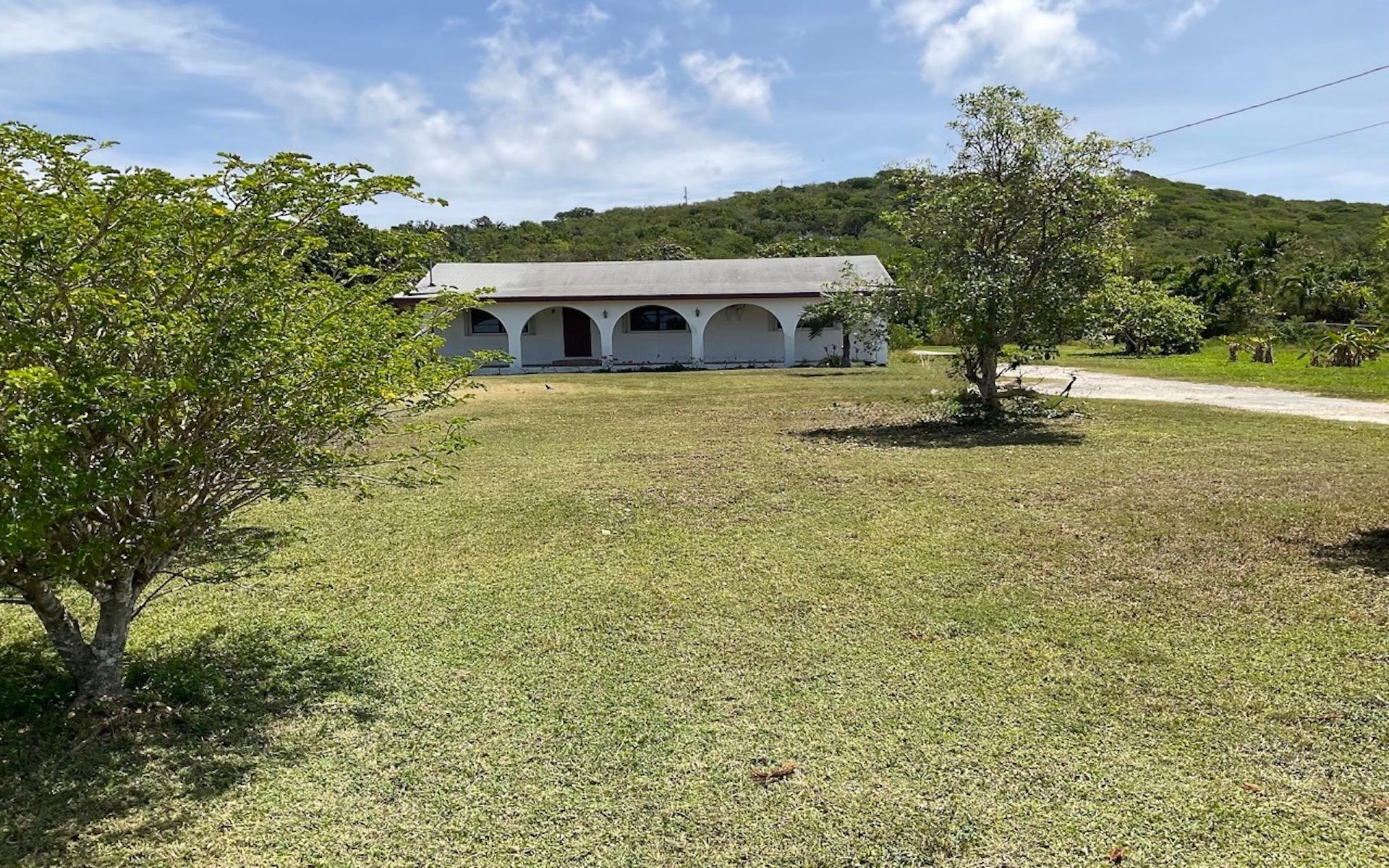 HOME IN MANGROVE BUSH