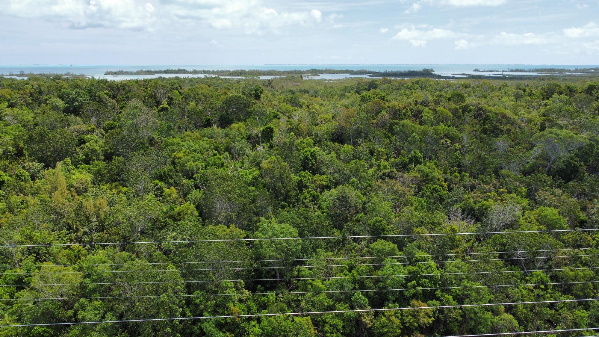 HILLS CREEK SC BOOTLE HIG