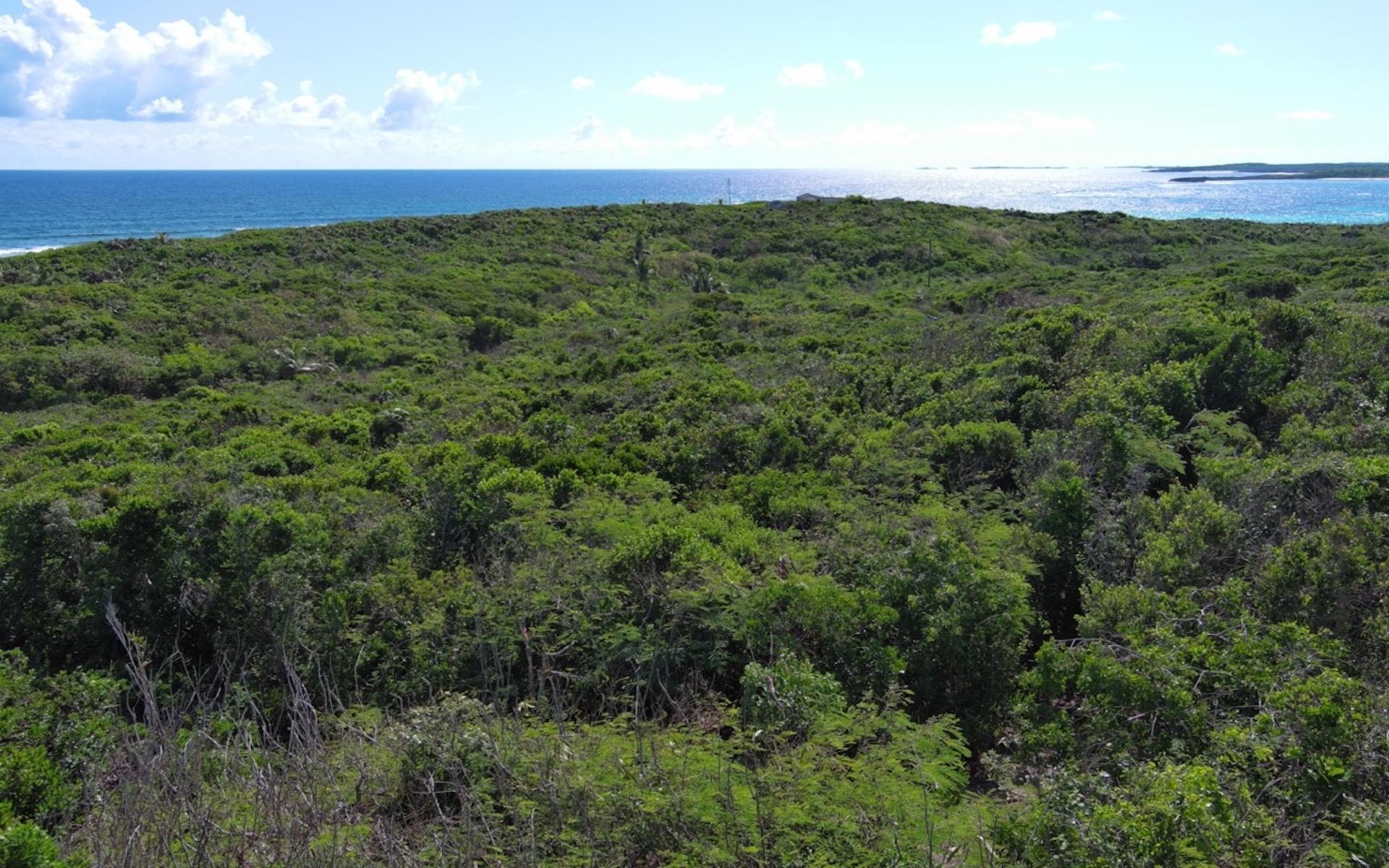 OCEANVIEW LOT SCRUB HILL