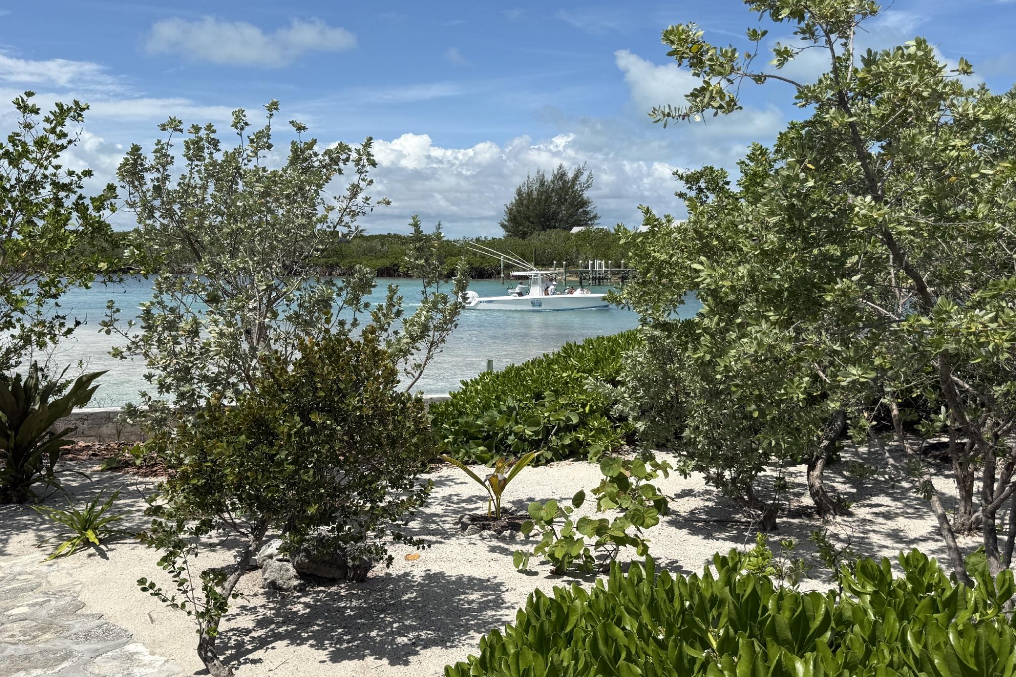 DILLY CAY