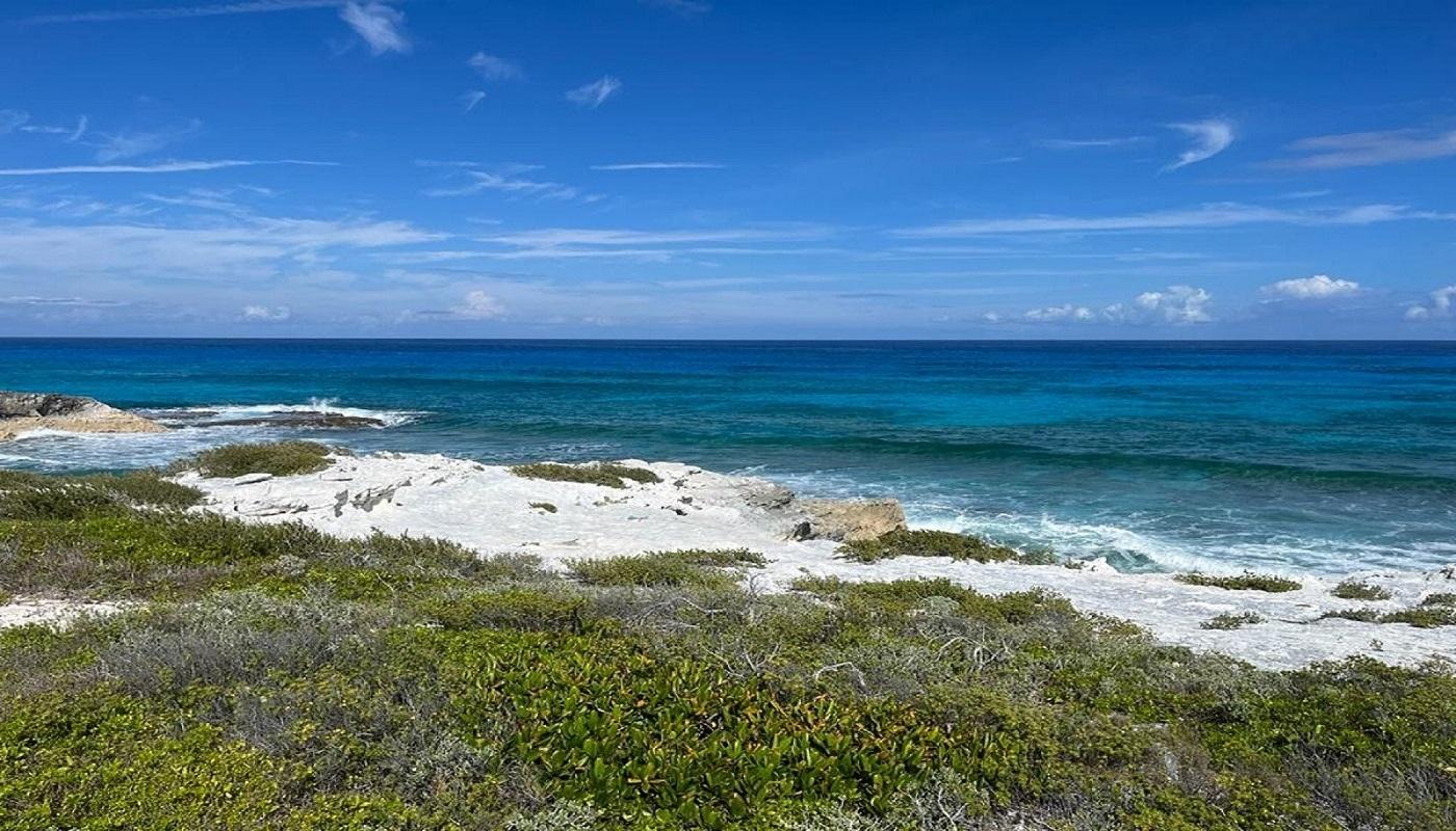 OCEANVIEW LOT 1B, MILLERS