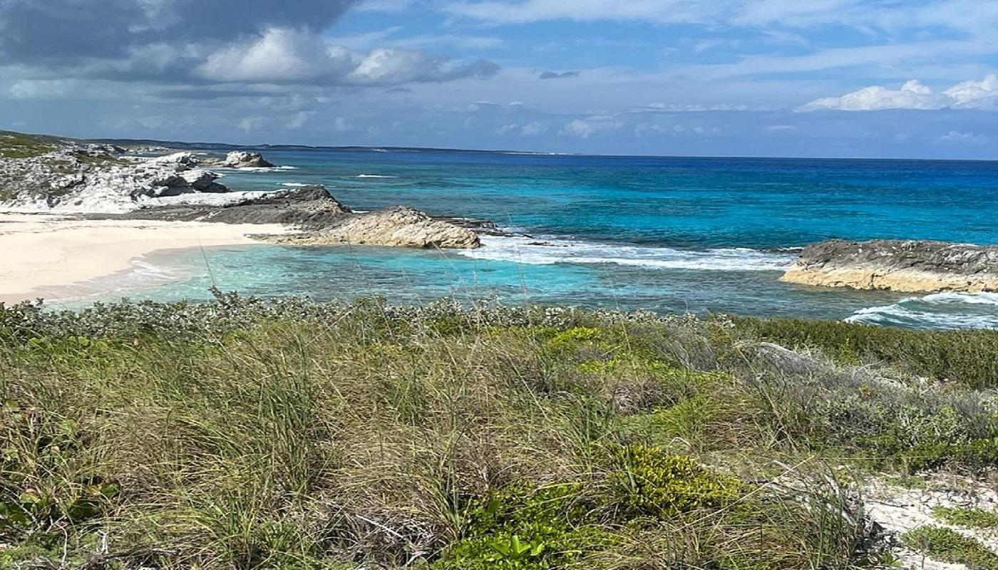 OCEANVIEW LOT 1B, MILLERS