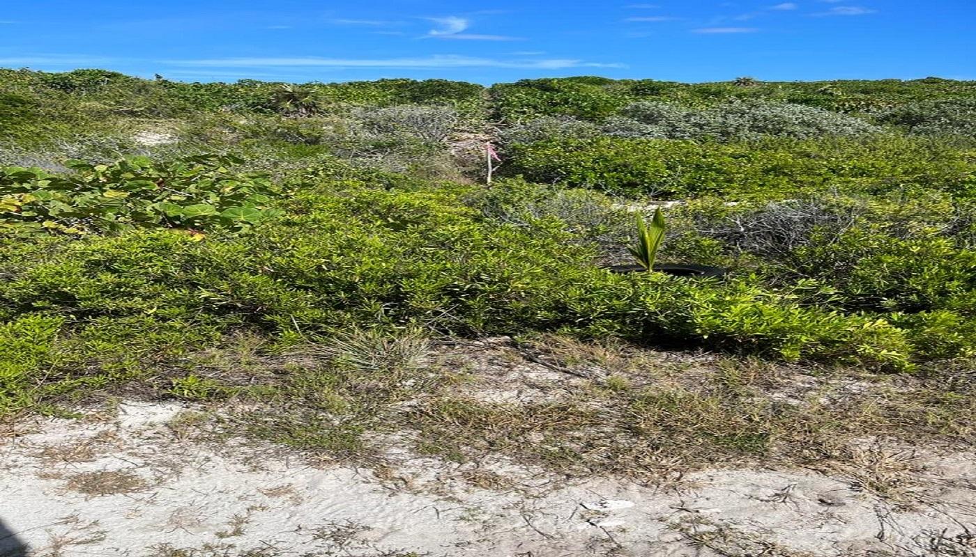 OCEANVIEW LOT 1B, MILLERS