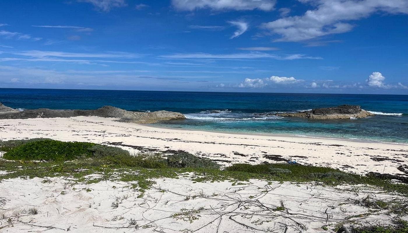 OCEANVIEW LOT 1B, MILLERS