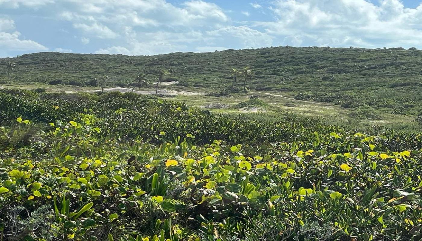 OCEANVIEW LOT 1B, MILLERS