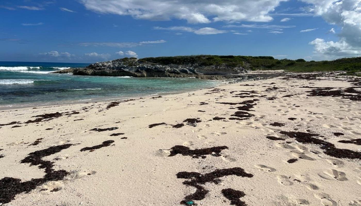 OCEANVIEW LOT 1B, MILLERS