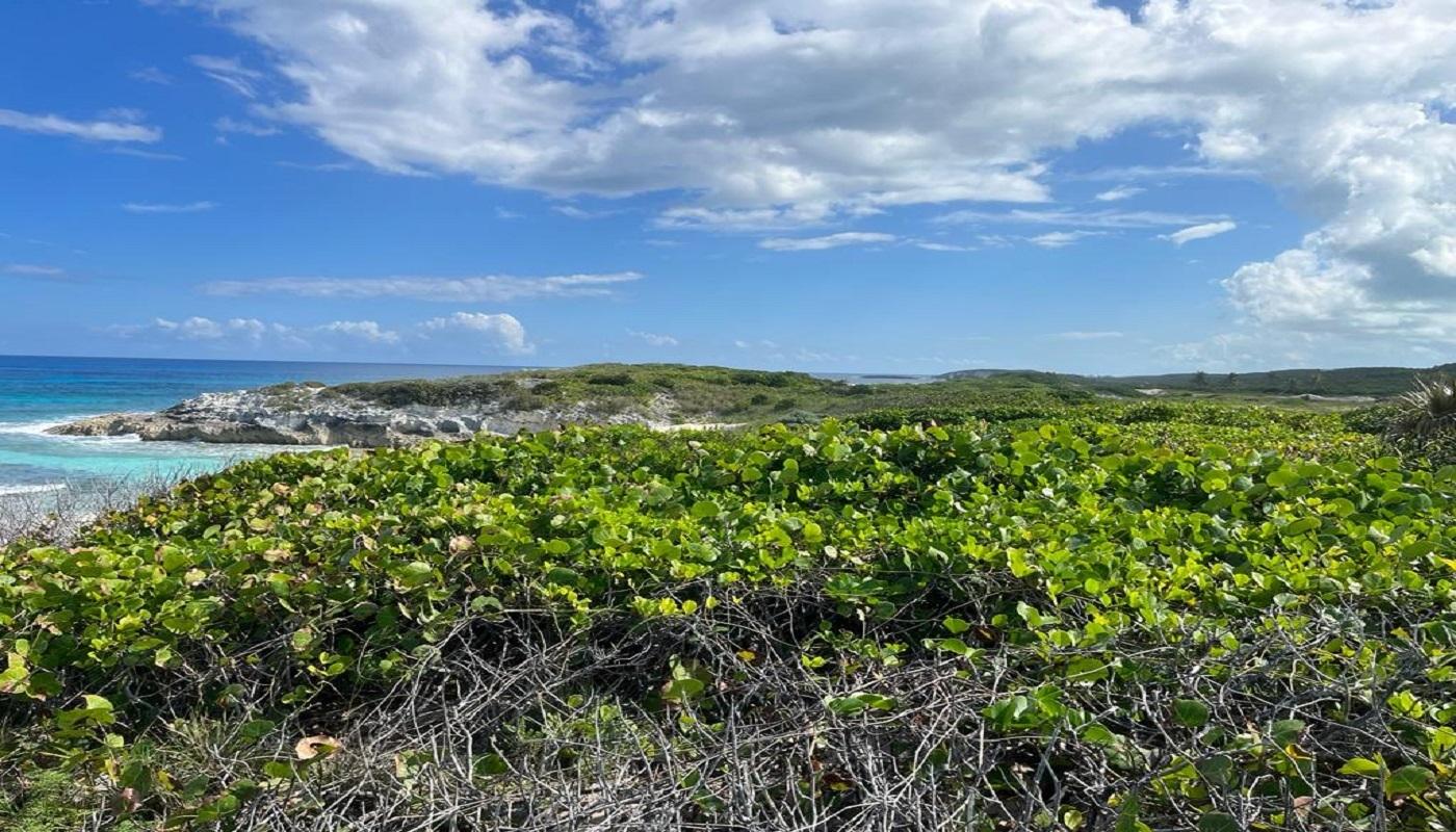 OCEANVIEW LOT 1B, MILLERS