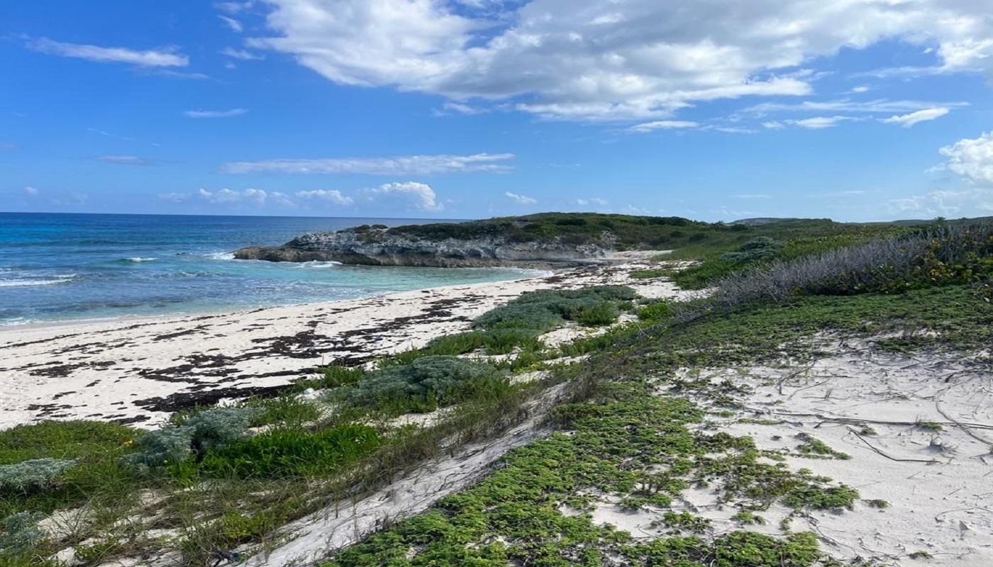 OCEANVIEW LOT 1B, MILLERS