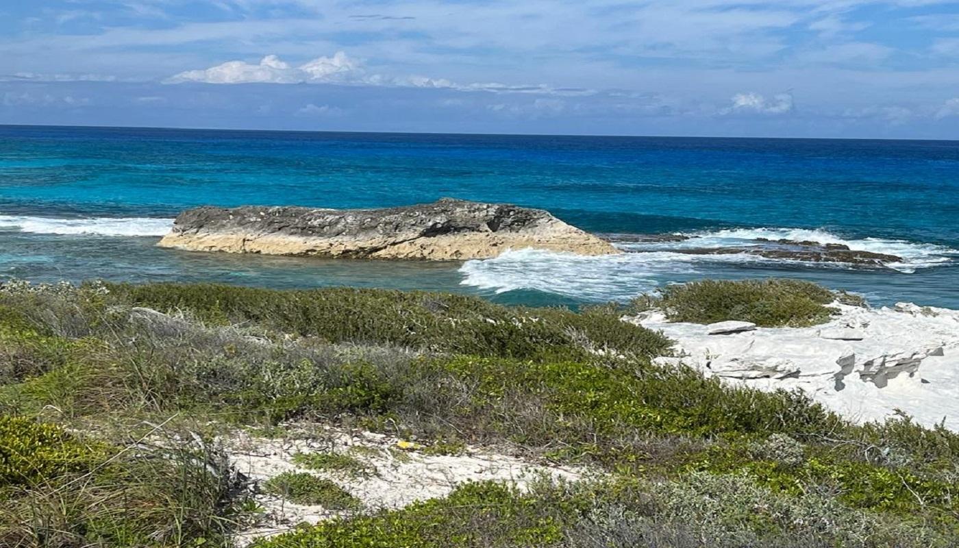 OCEANVIEW LOT 1B, MILLERS