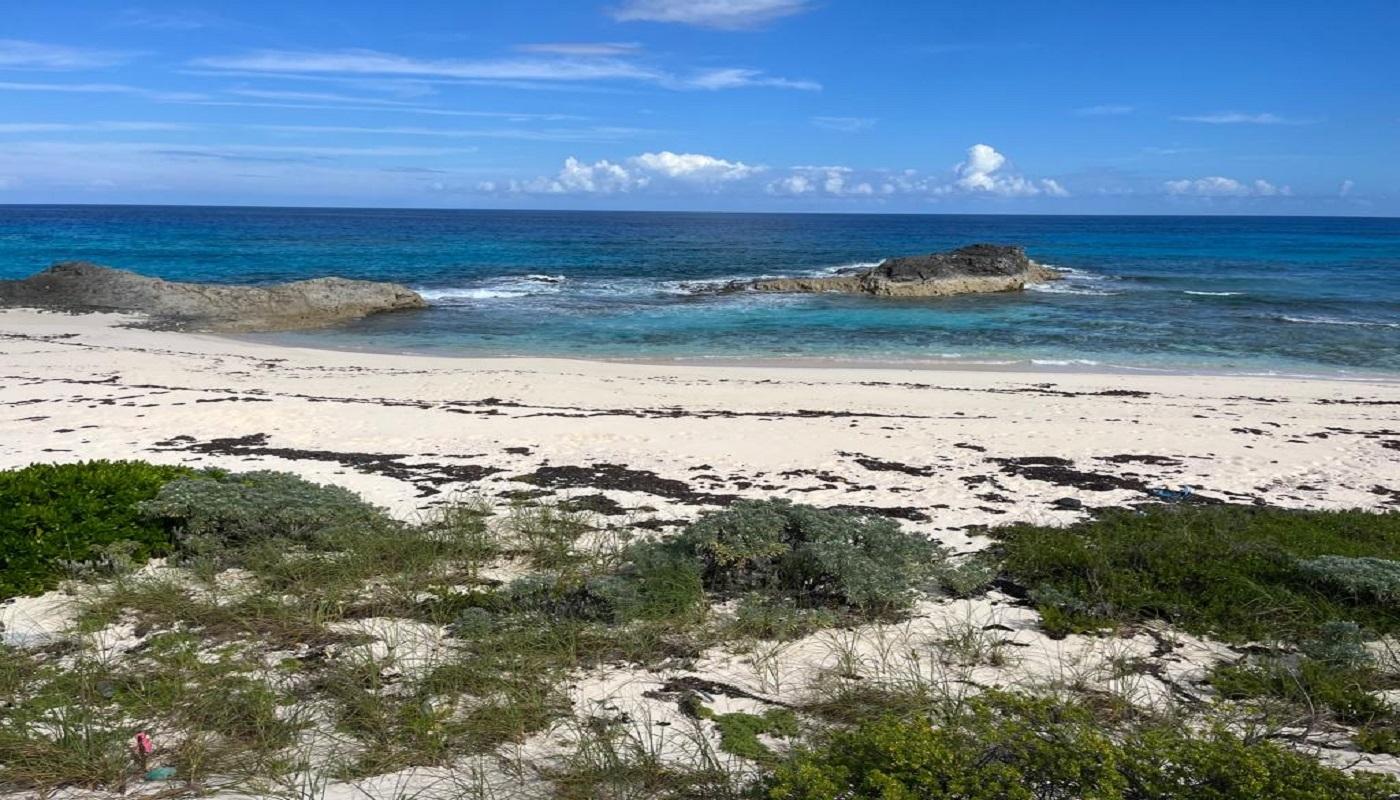 OCEANVIEW LOT 1B, MILLERS