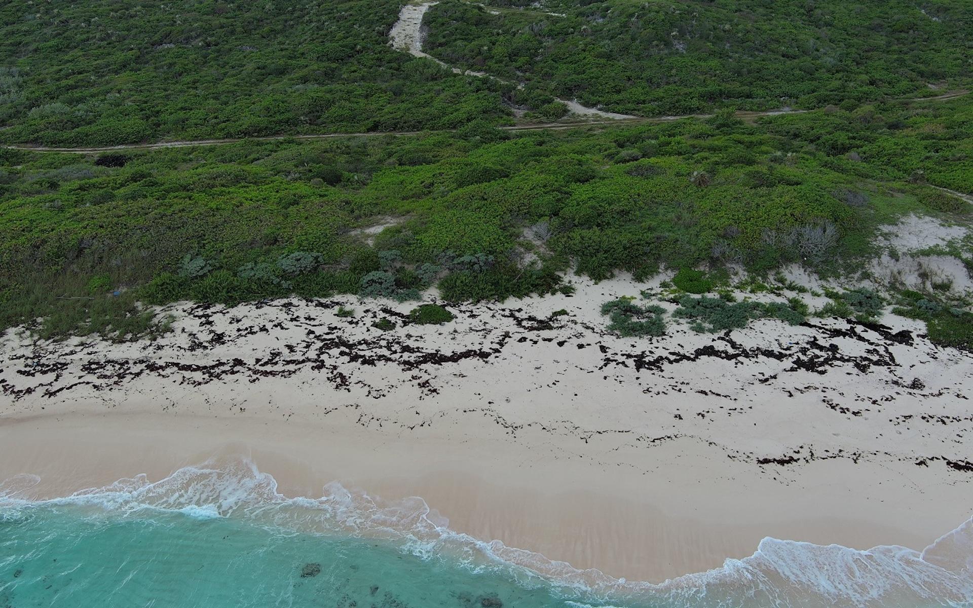 OCEANVIEW LOT 1B, MILLERS