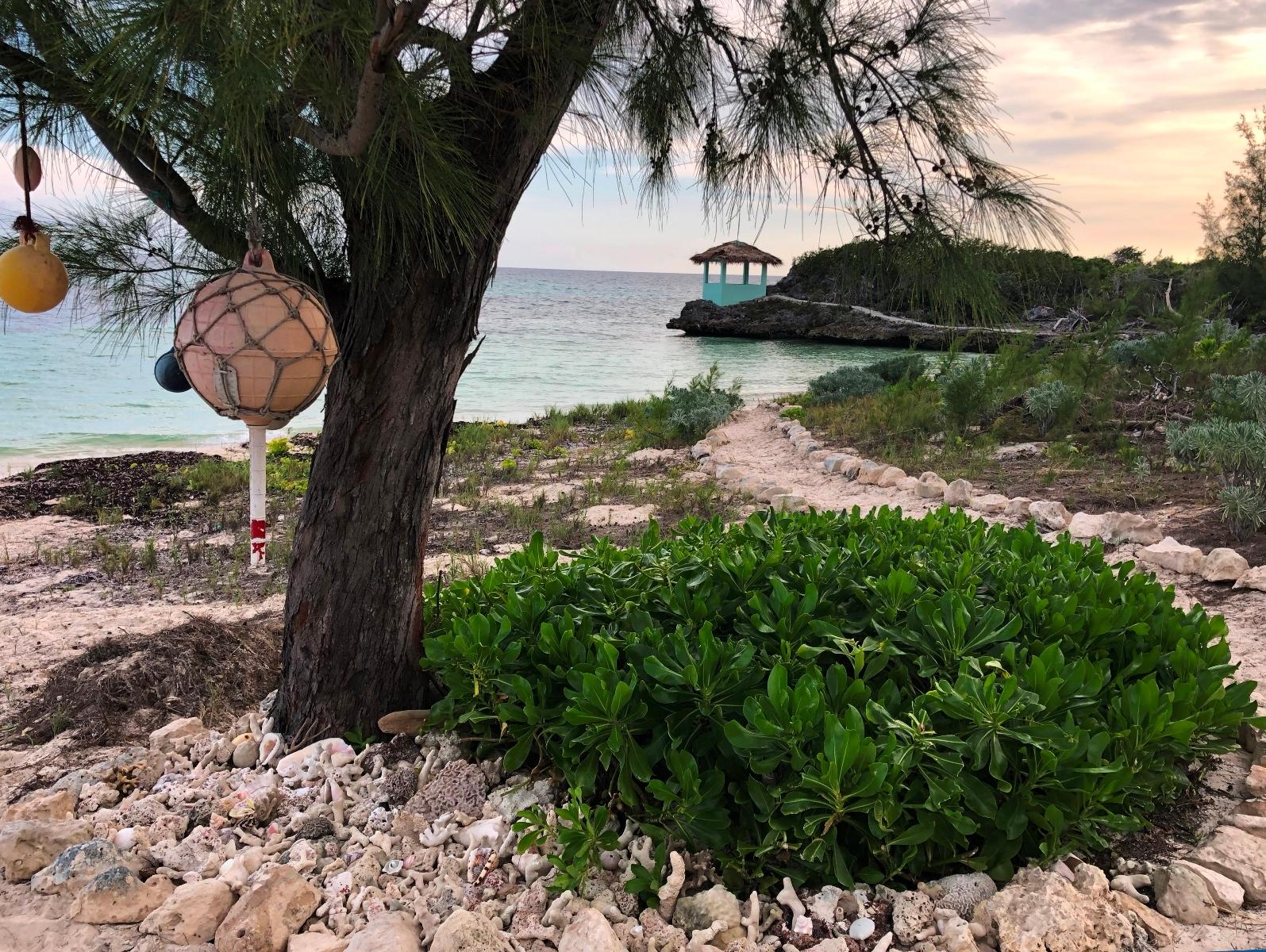 BEACHFRONT HOME PORT HOWE