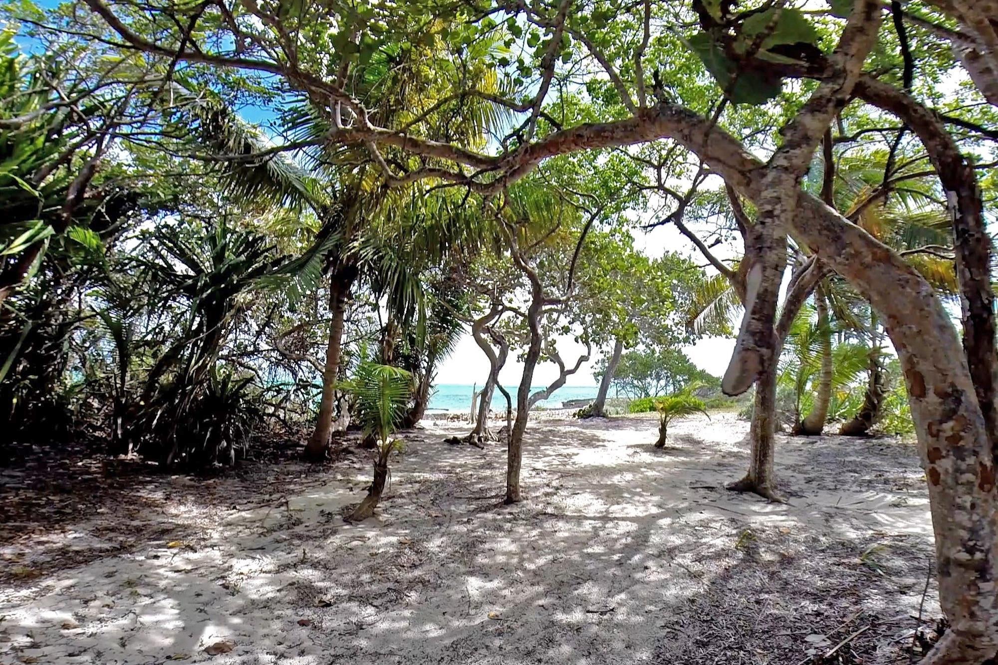 SWAIN’S CAY
