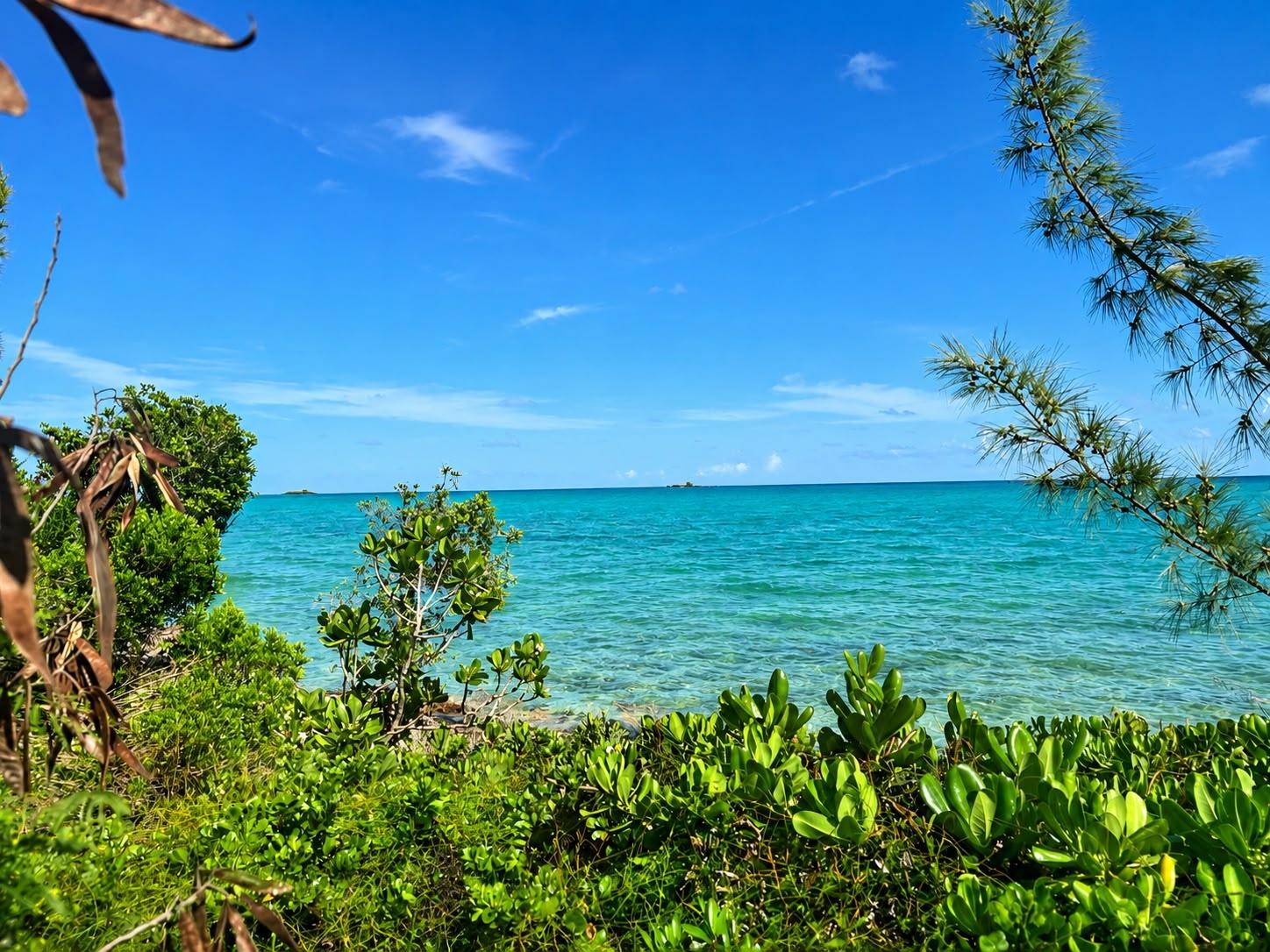 VENICE BAY OCEAN FRNT LOT