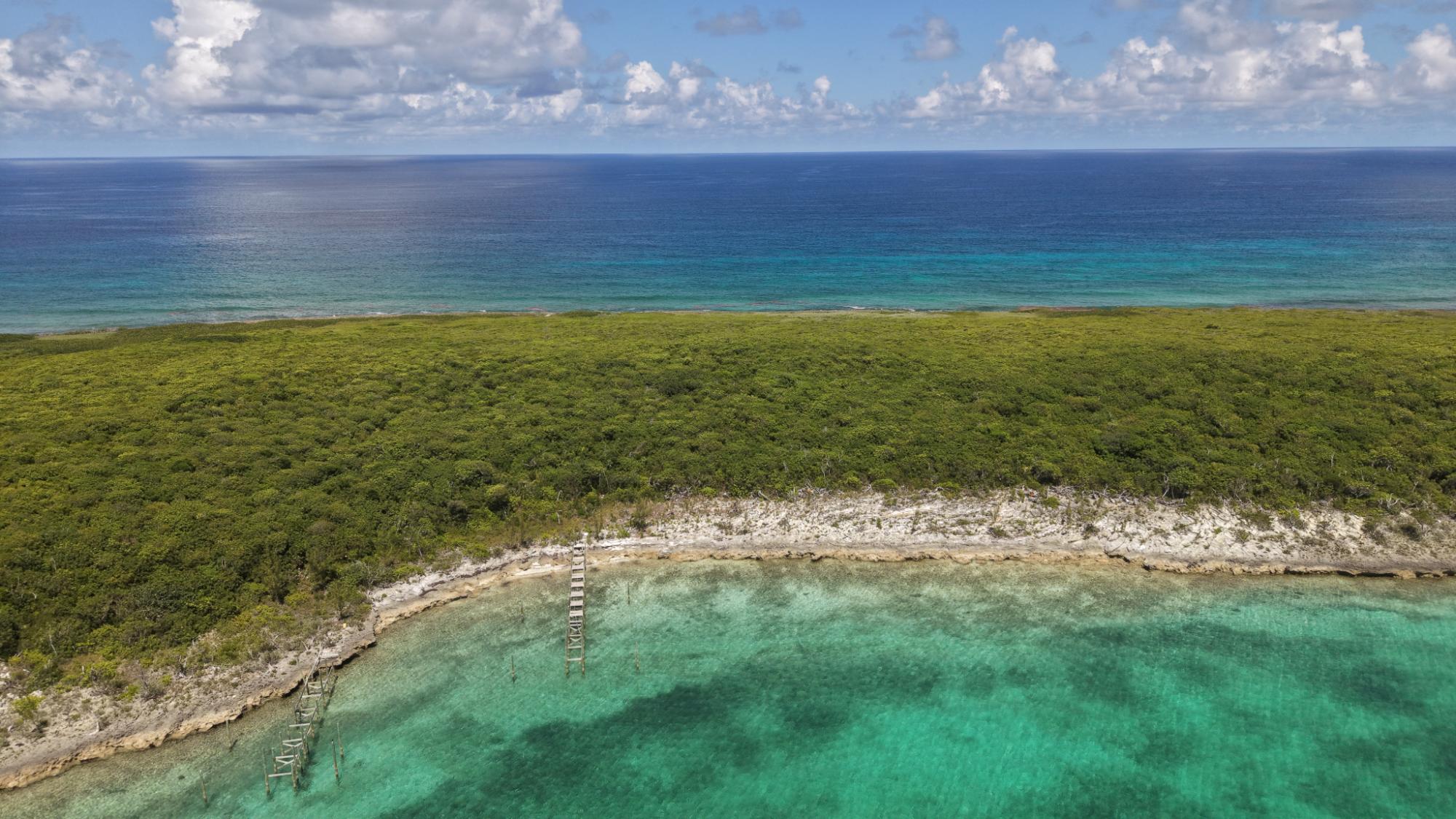 Lot 3 Soap Point