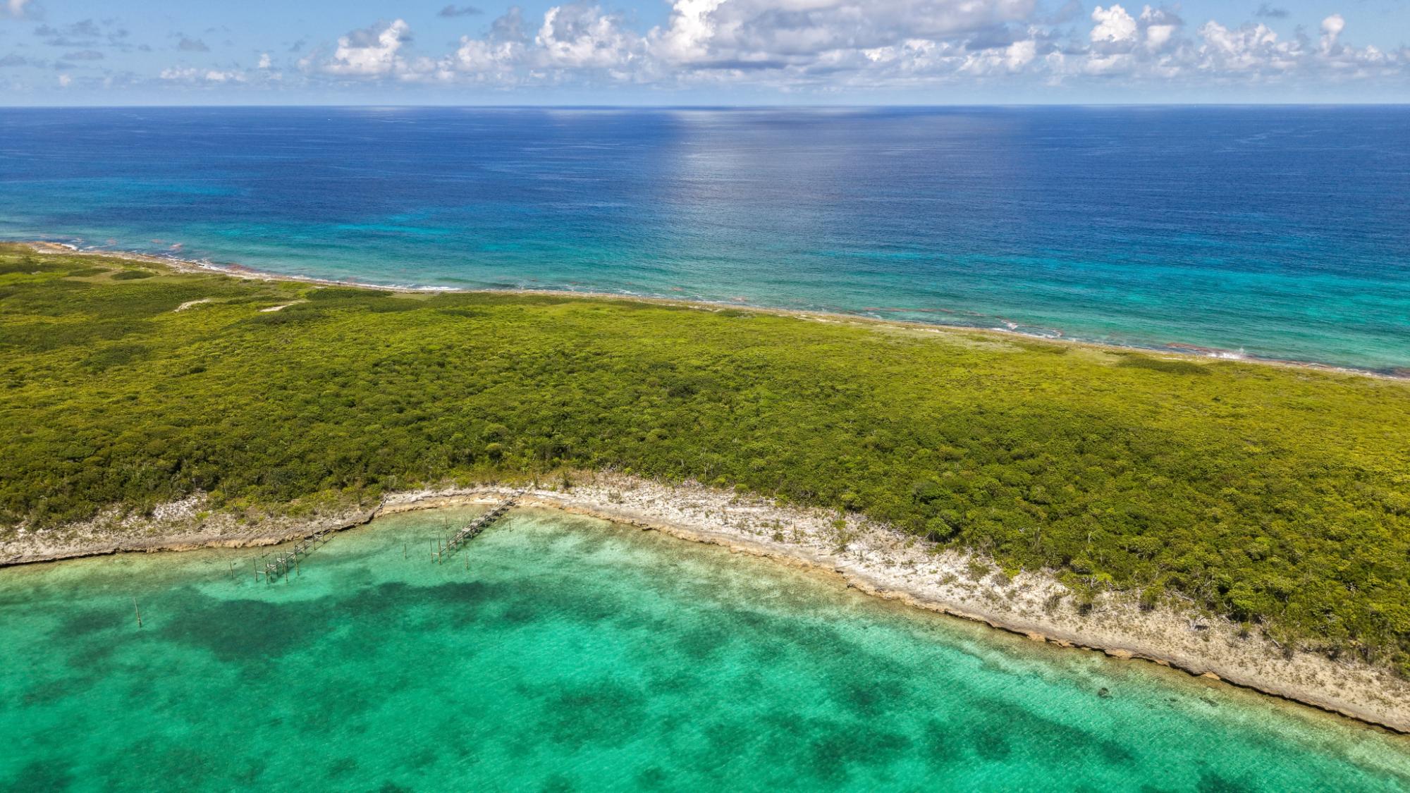 Lot 3 Soap Point